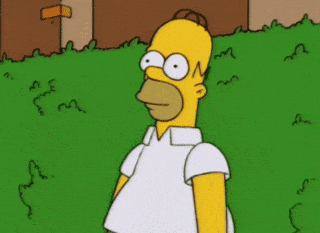 giphy (3)