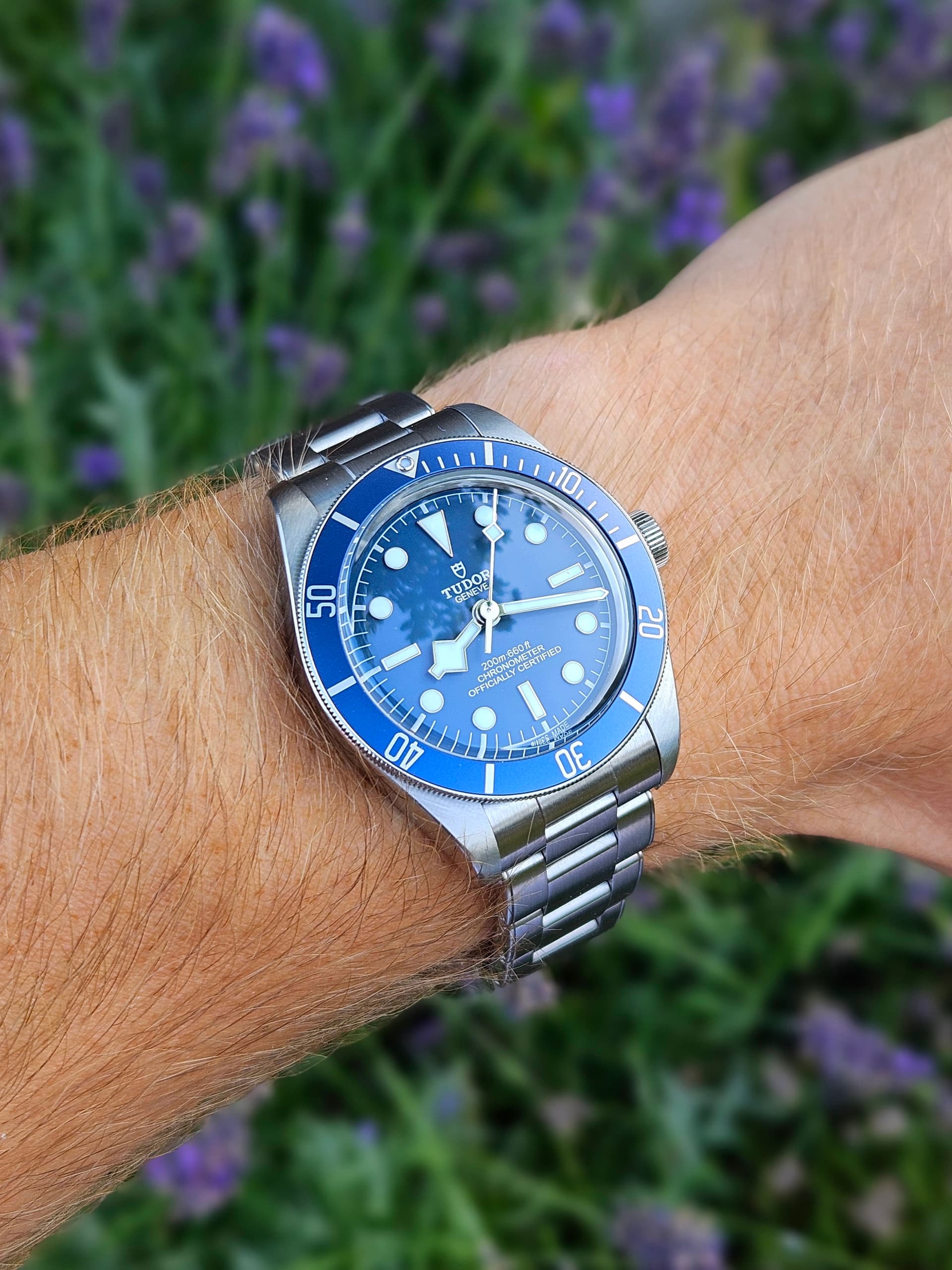 Tudor wristshot 5