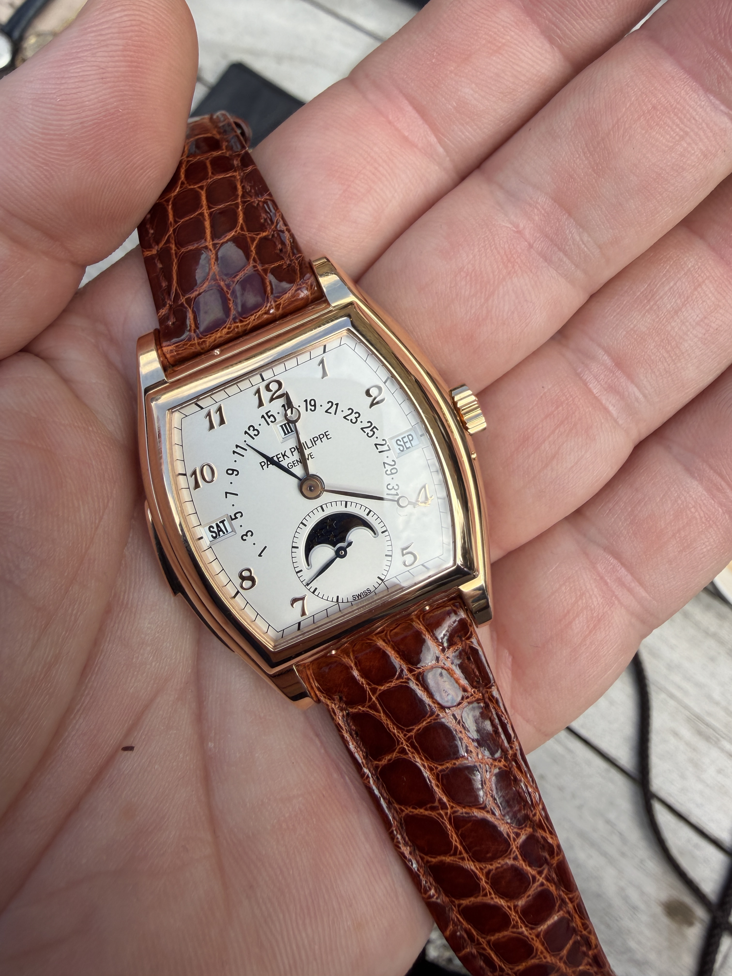 Patek Philippe wristshot 12