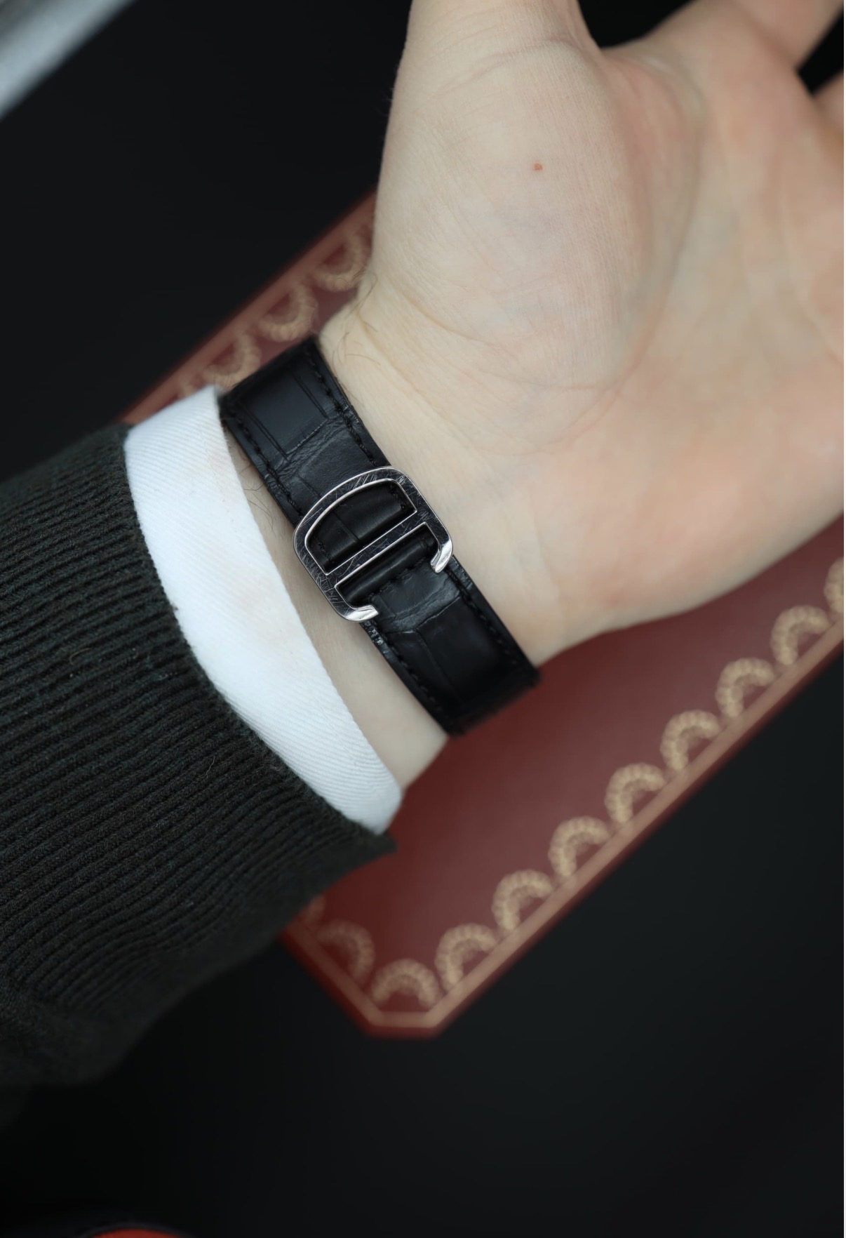 Cartier wristshot 5