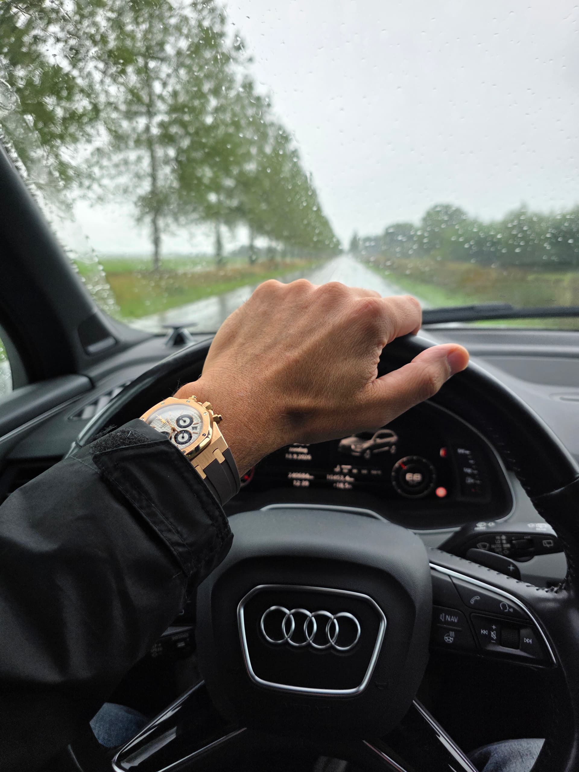 Audemars Piguet wristshot 22