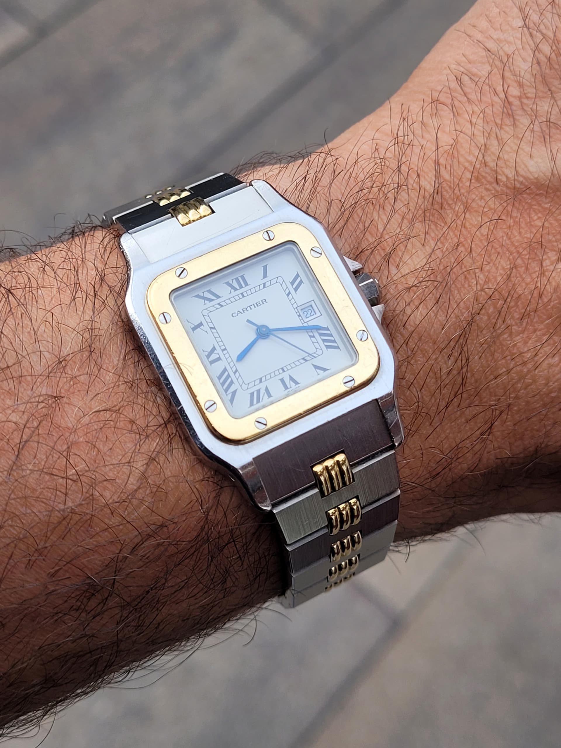 Cartier wristshot 14