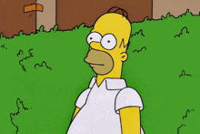 simpsonovi-simpsons