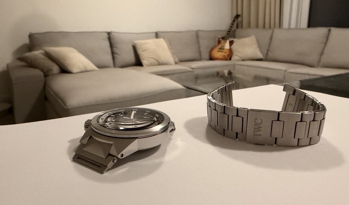 IWC wristshot 5