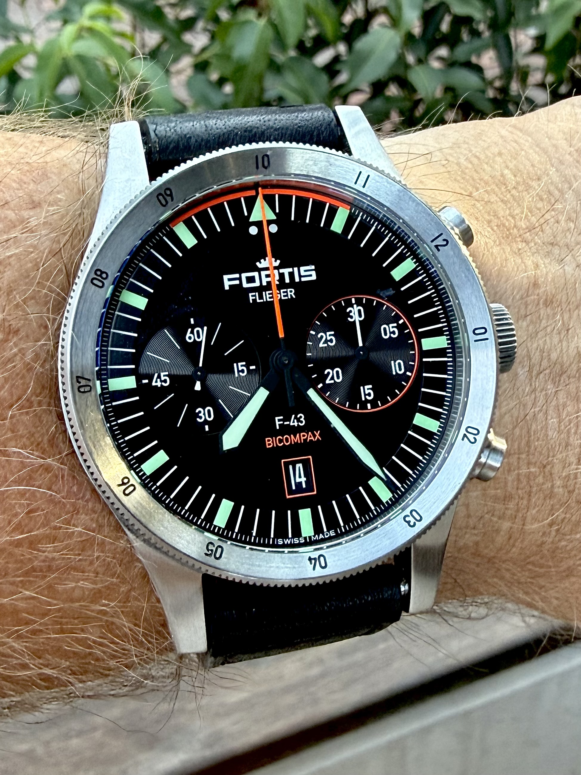 Fortis wristshot 18