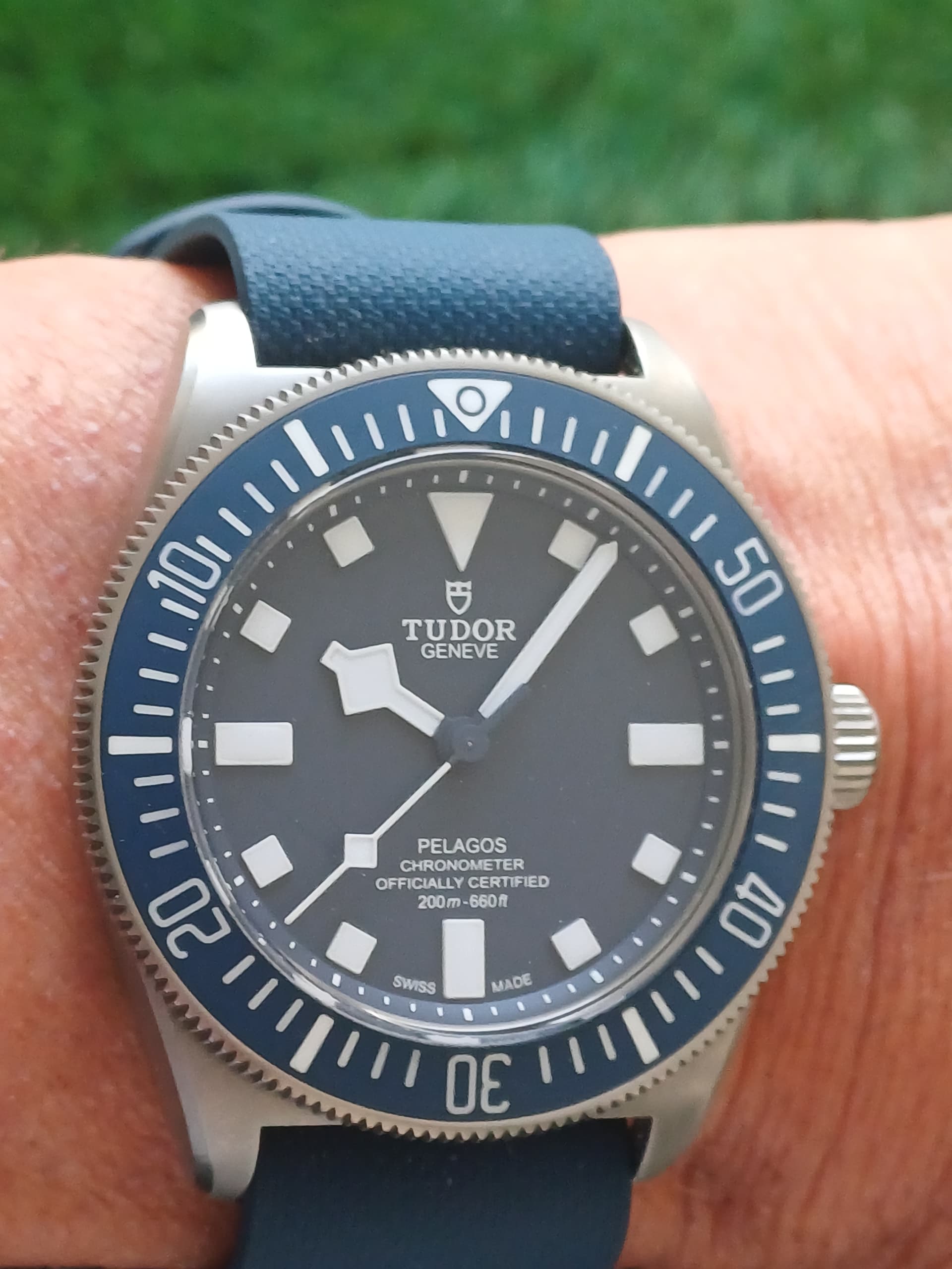 Tudor wristshot 13