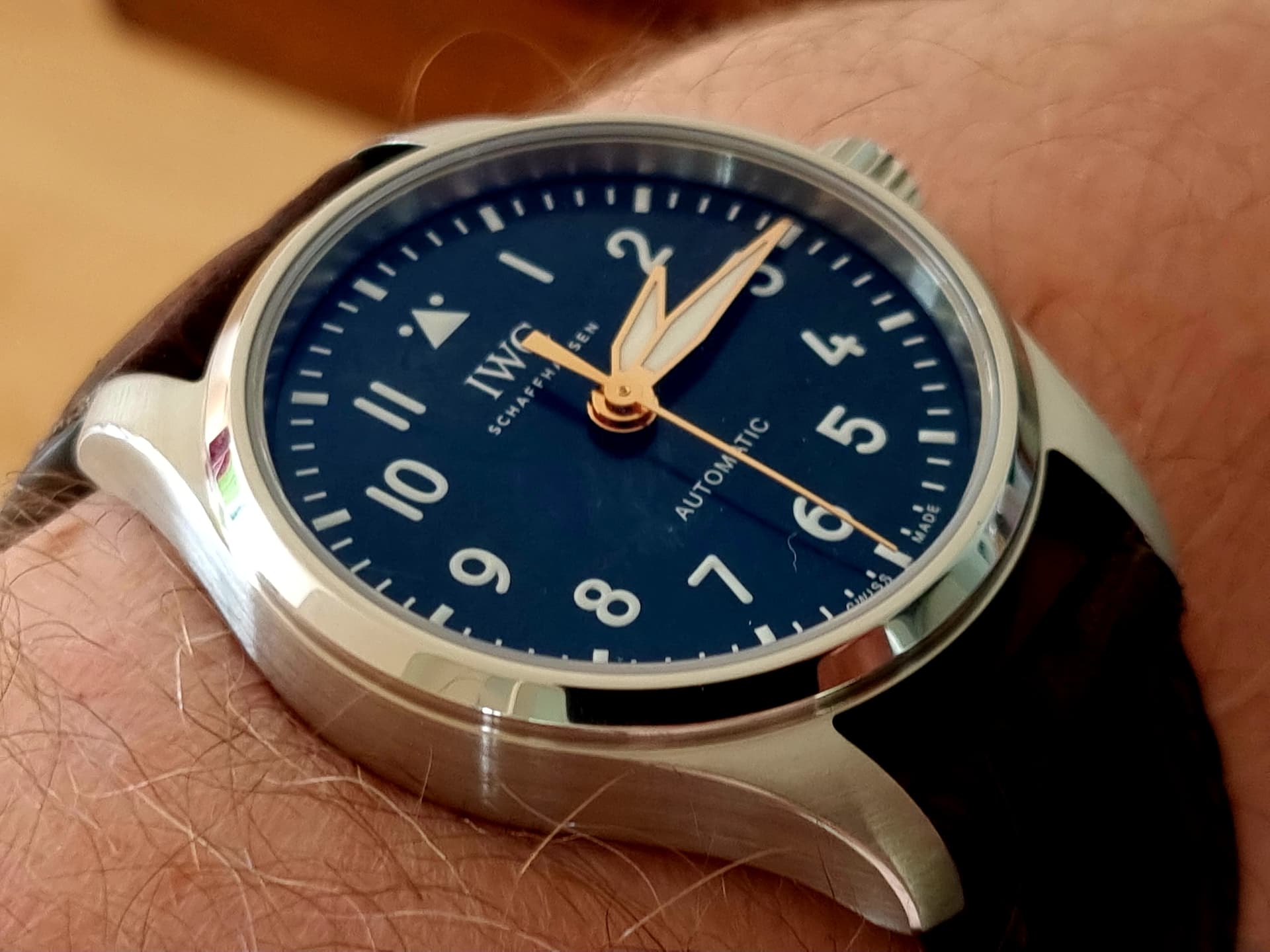 IWC wristshot 24