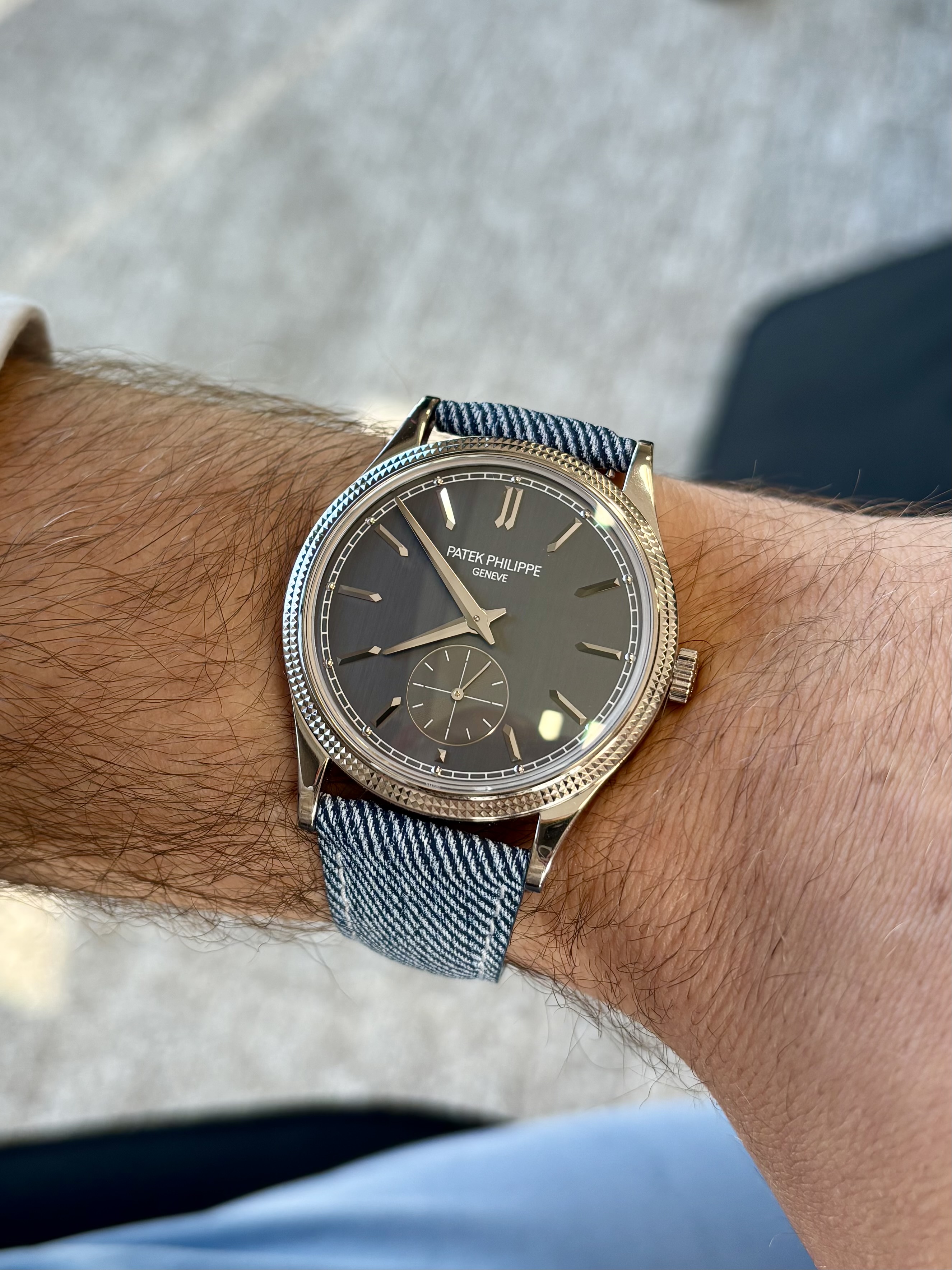 Patek Philippe wristshot 12