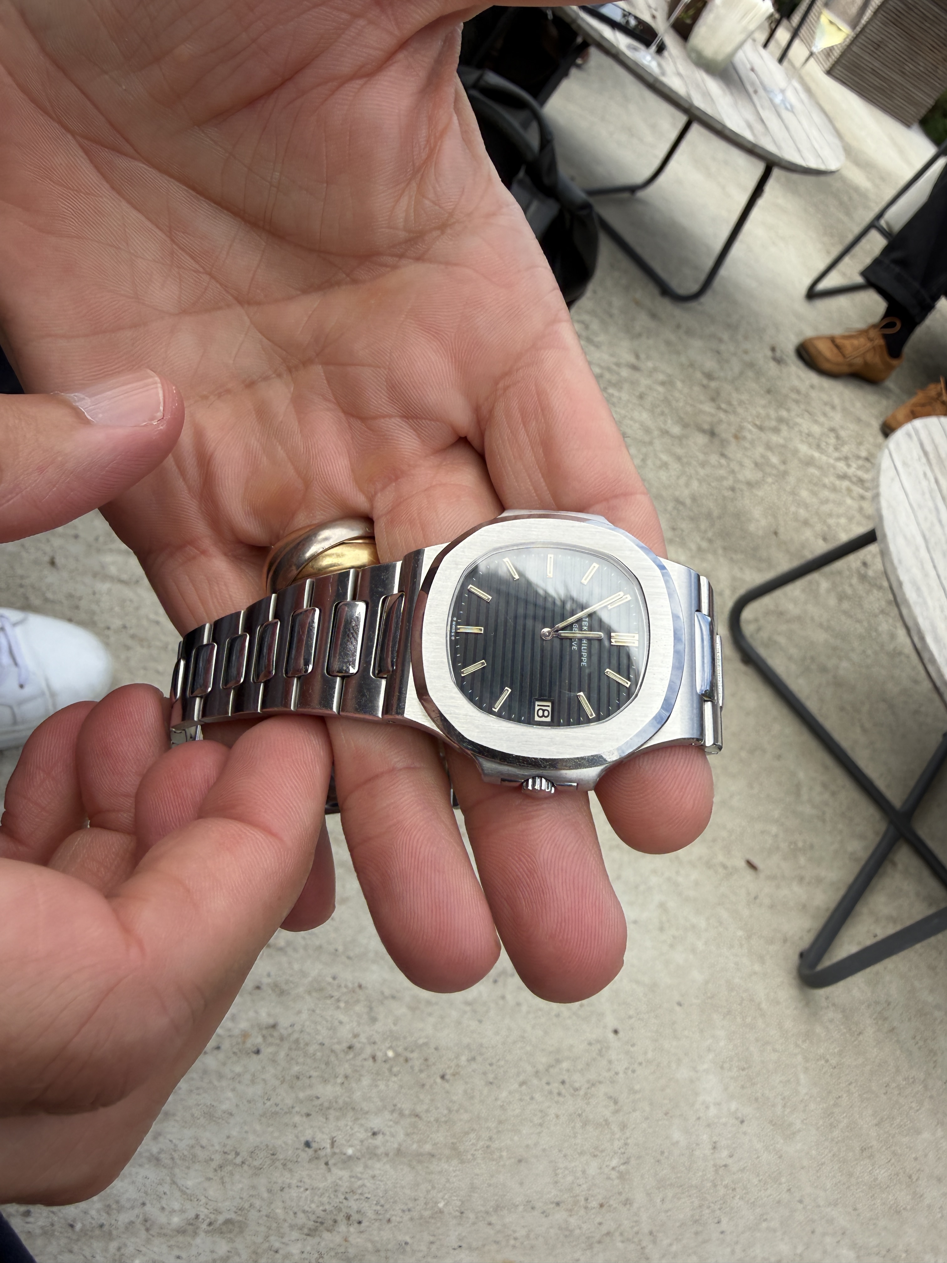 Patek Philippe wristshot 10