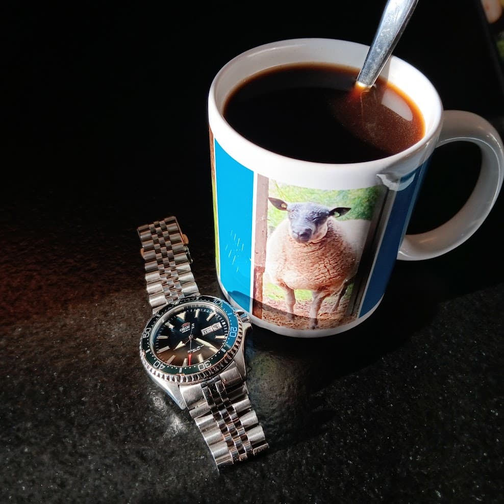Orient wristshot 6