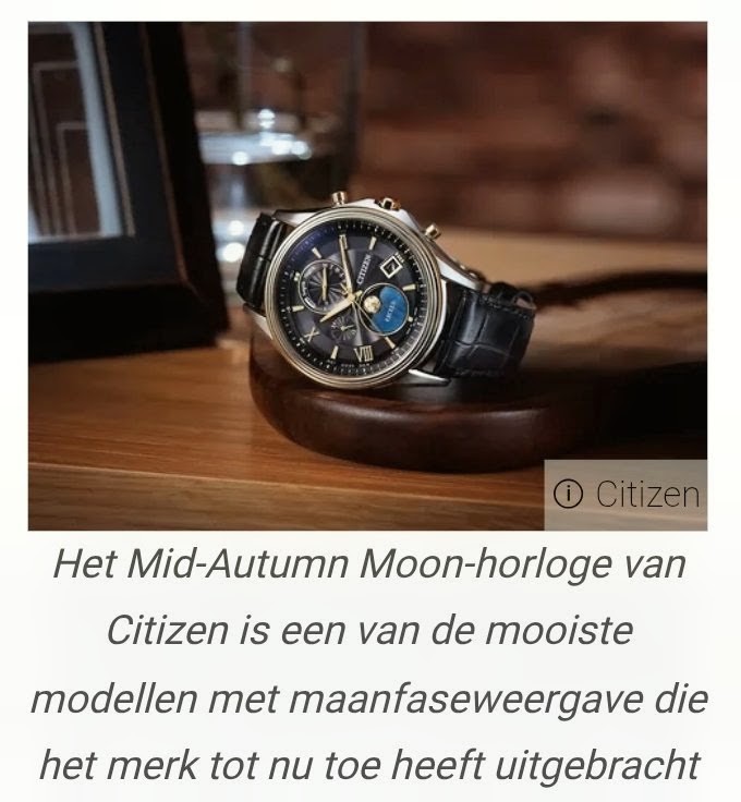 Citizen wristshot 9