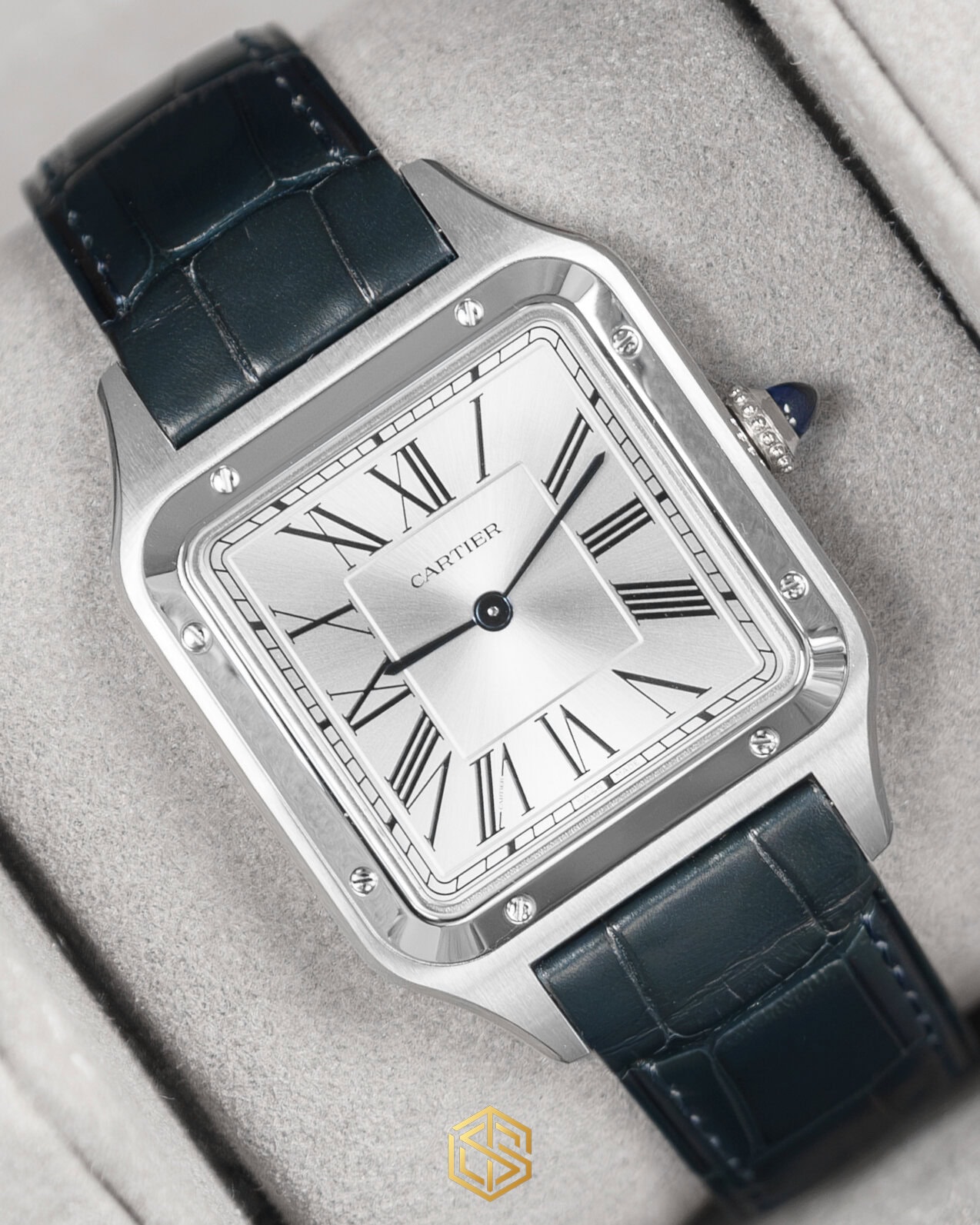 Cartier wristshot 17