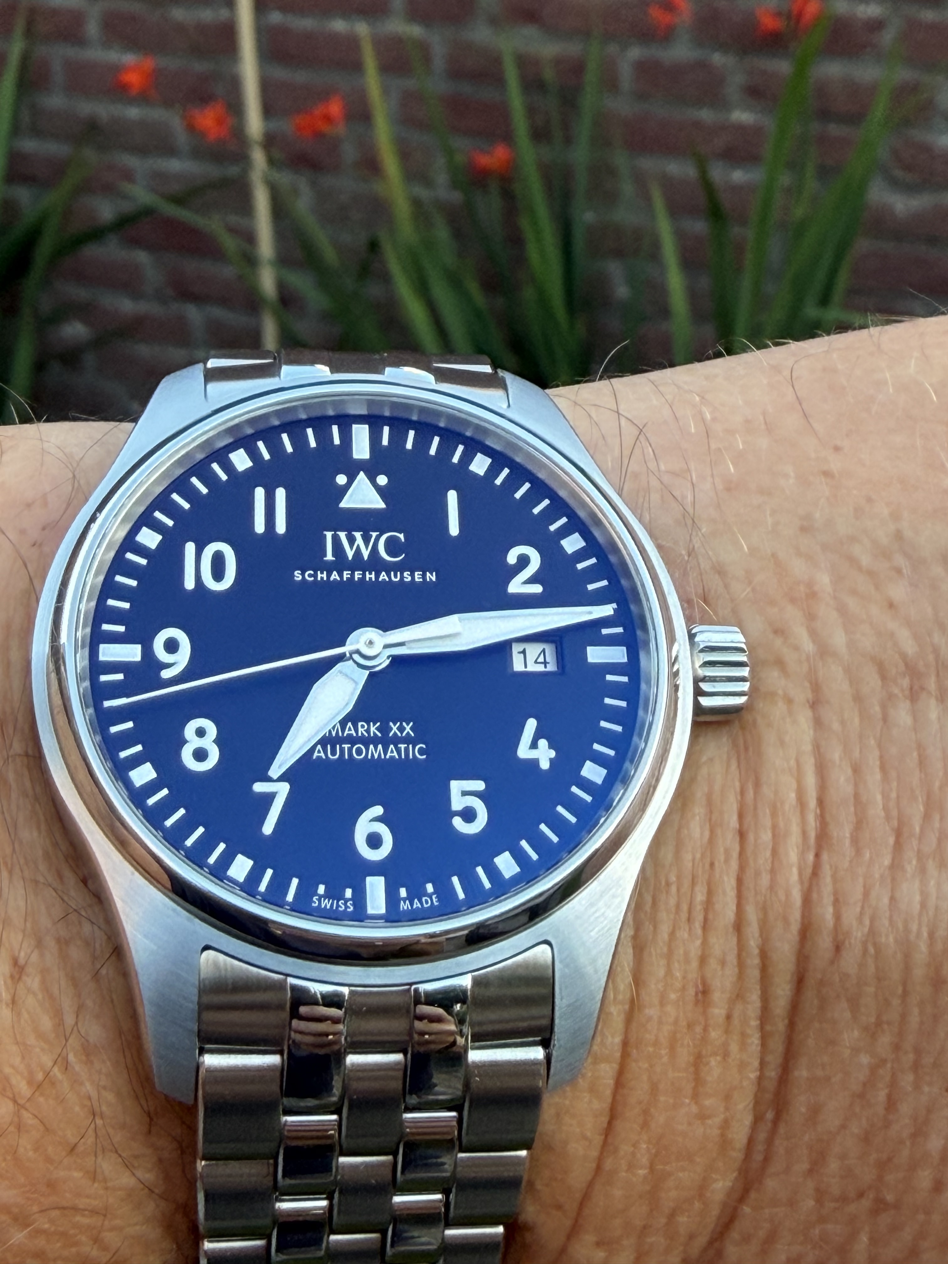 IWC wristshot 6