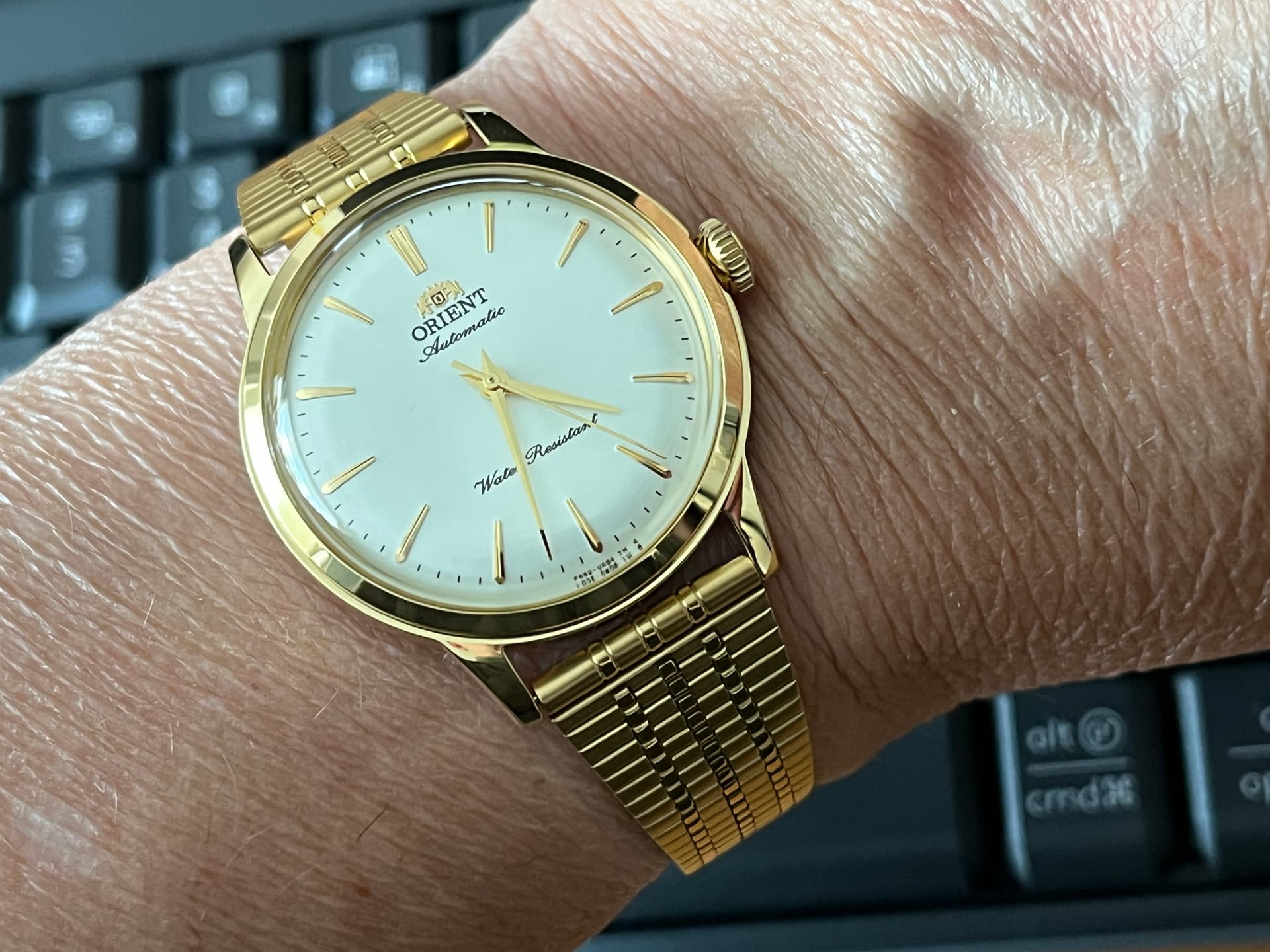 Orient wristshot 5