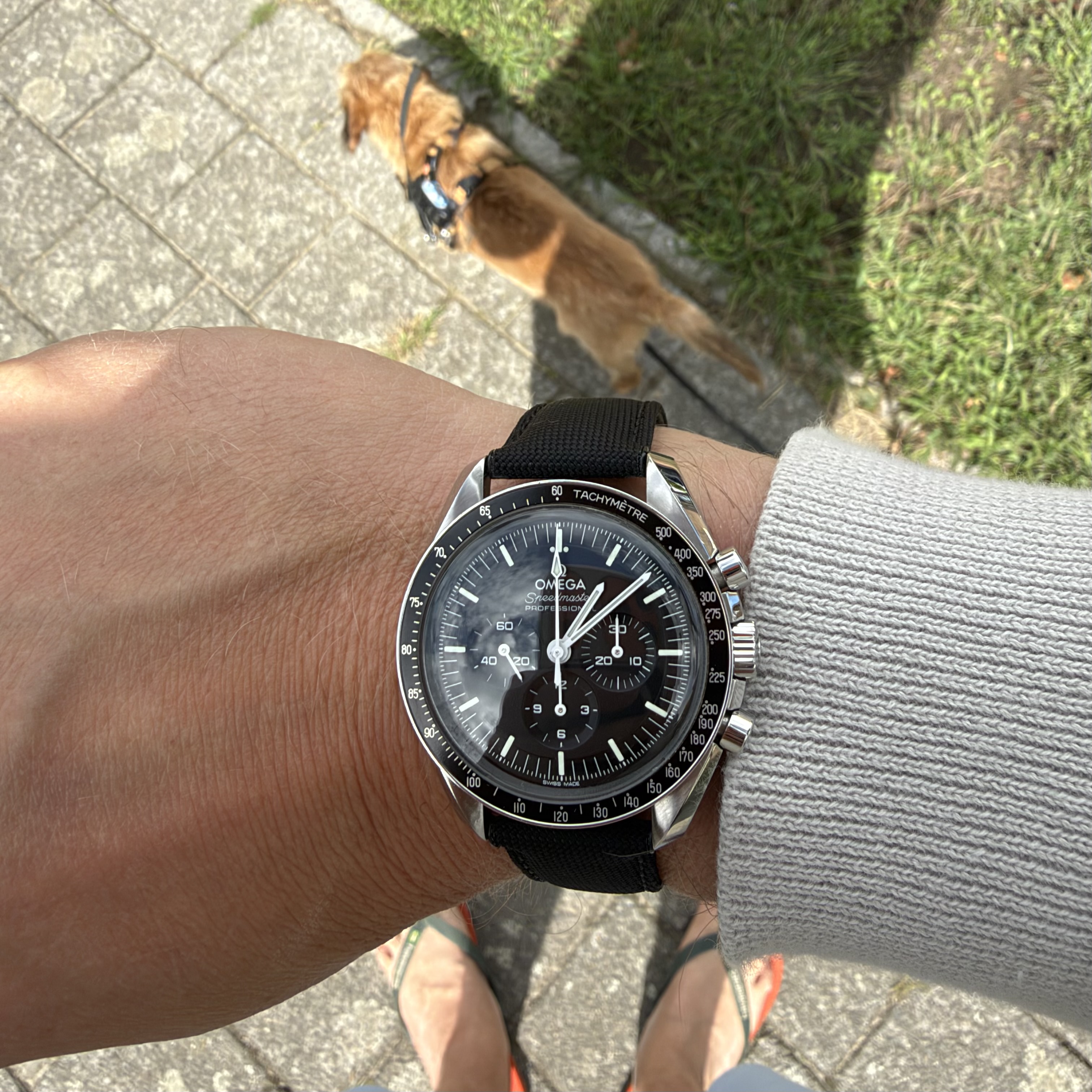 Omega wristshot 8