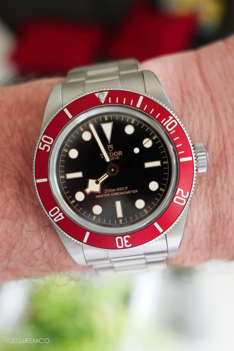 Tudor wristshot 4
