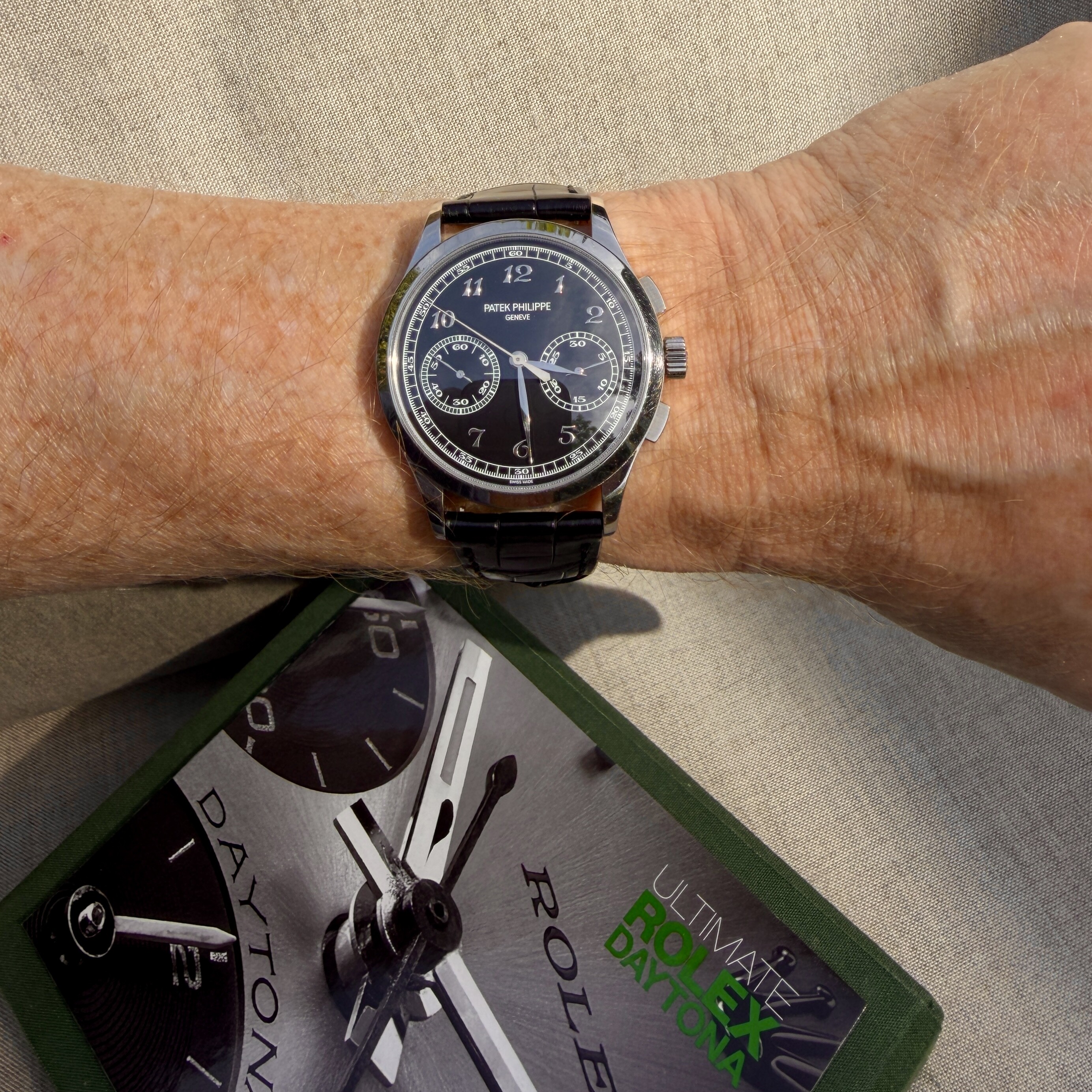 Patek Philippe wristshot 29