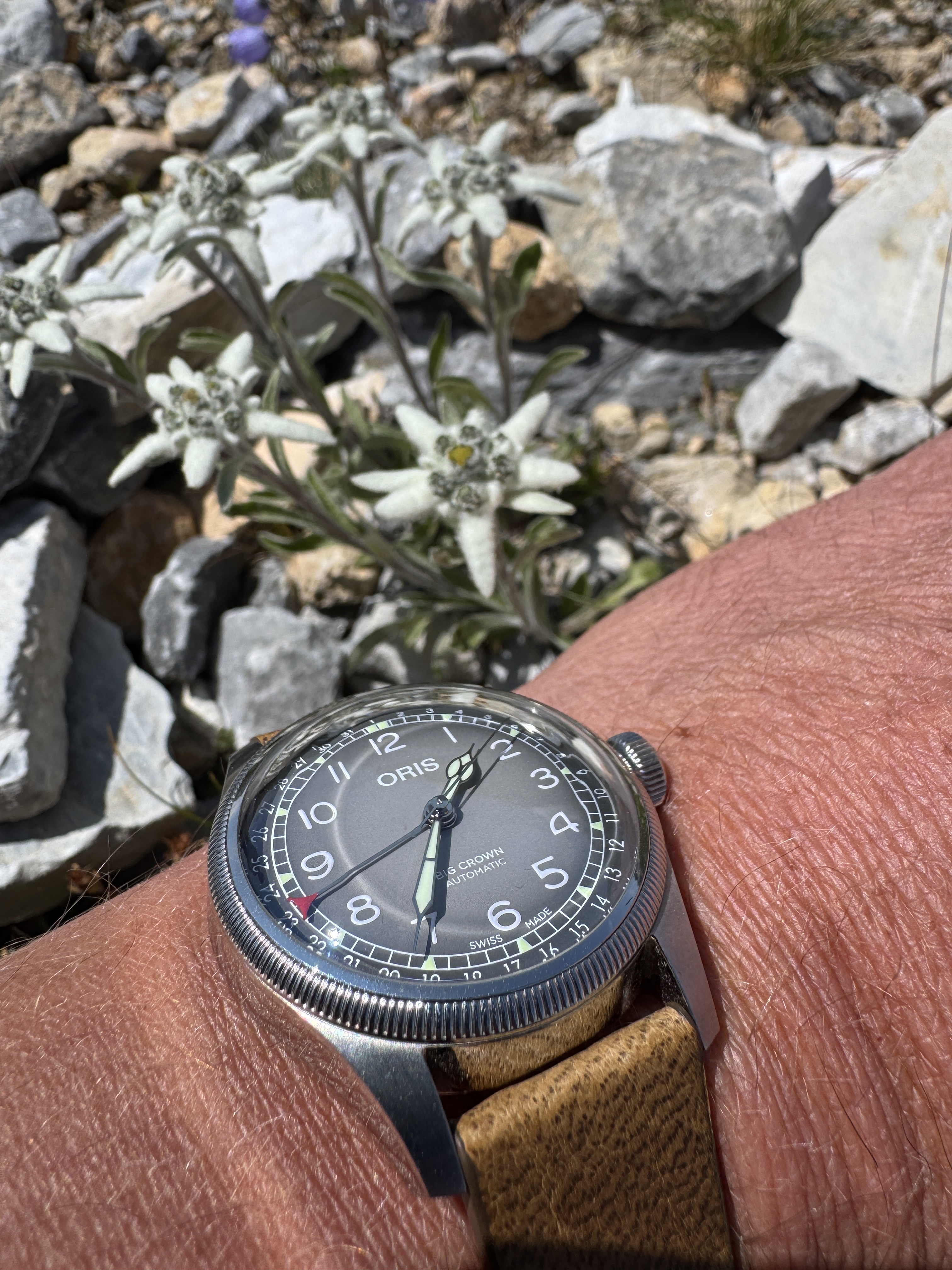 Oris wristshot 31