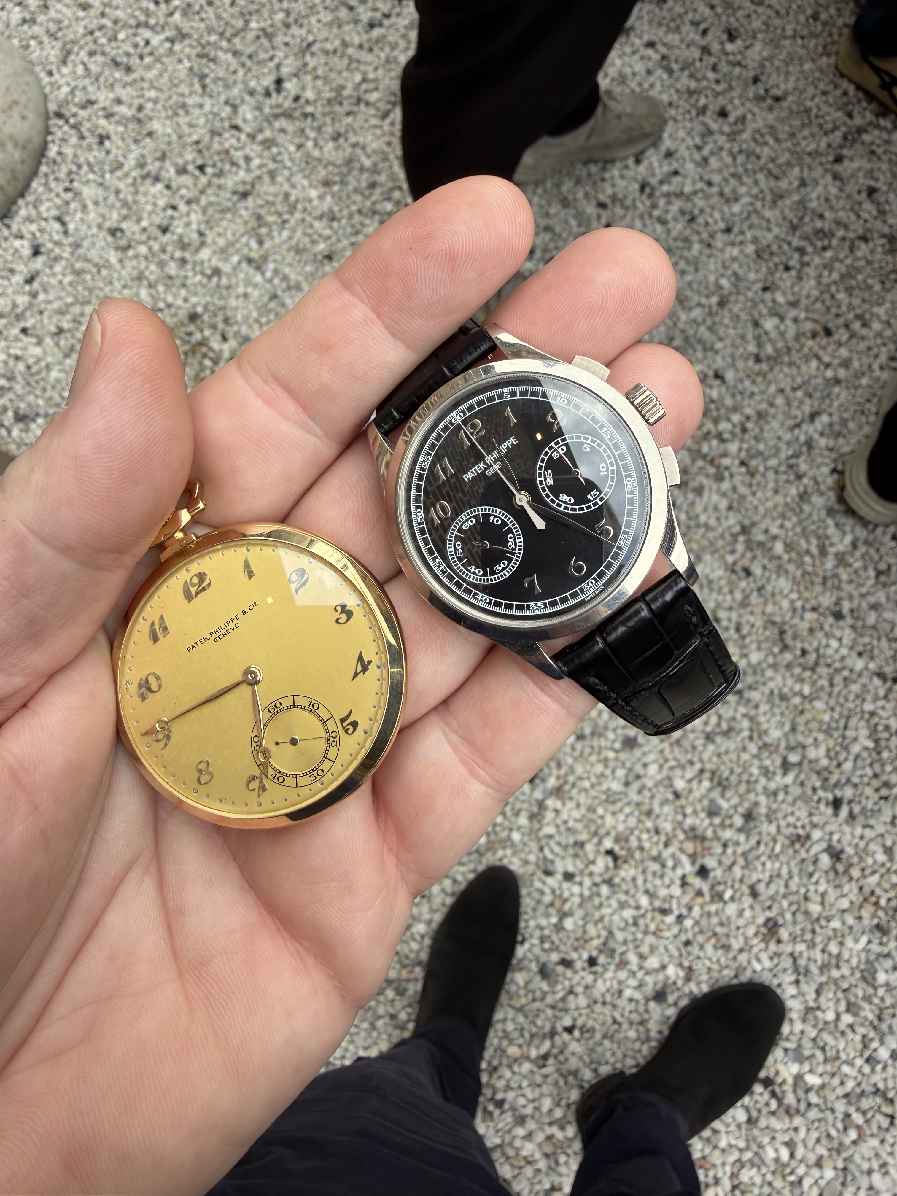 Patek Philippe wristshot 14
