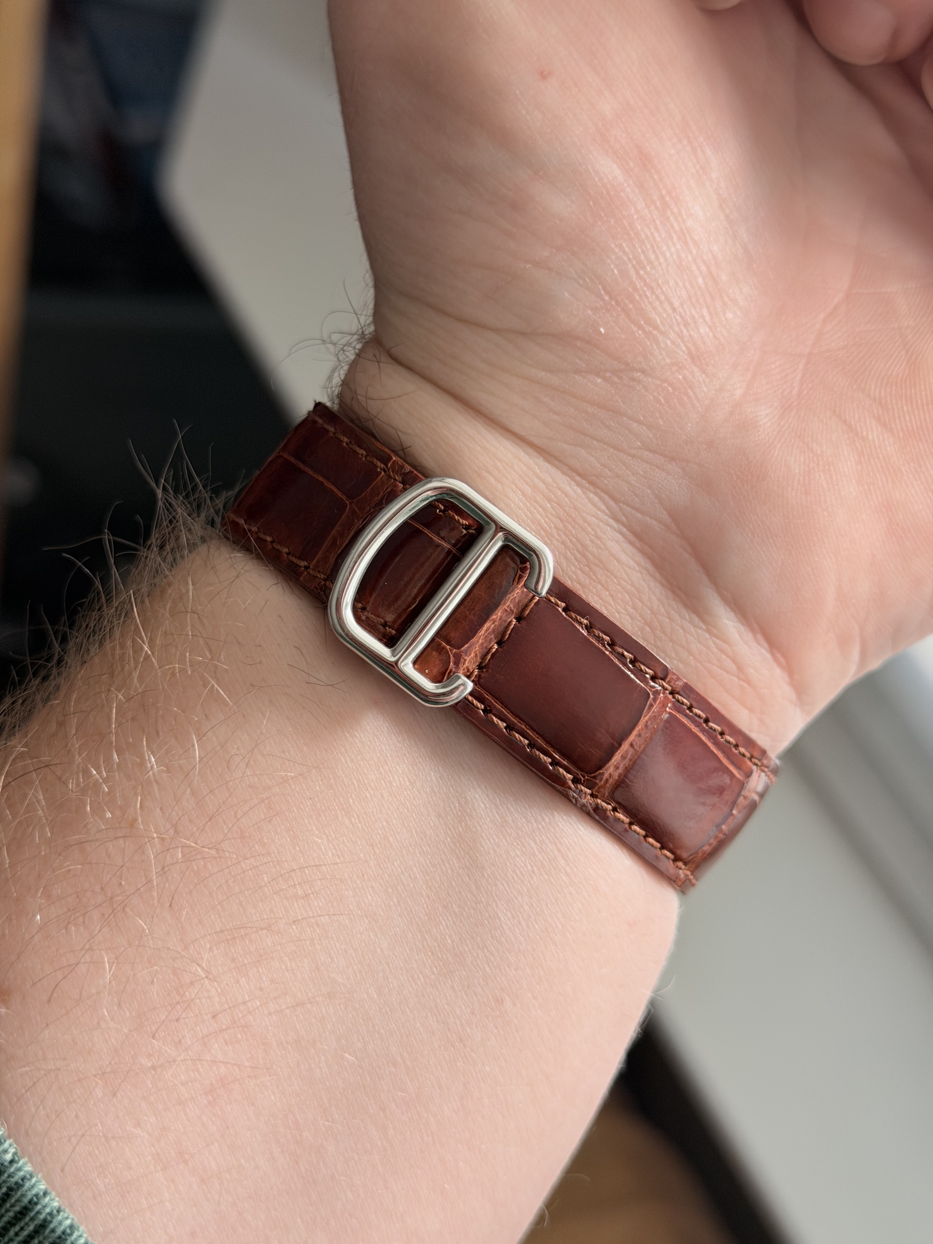 Cartier wristshot 4
