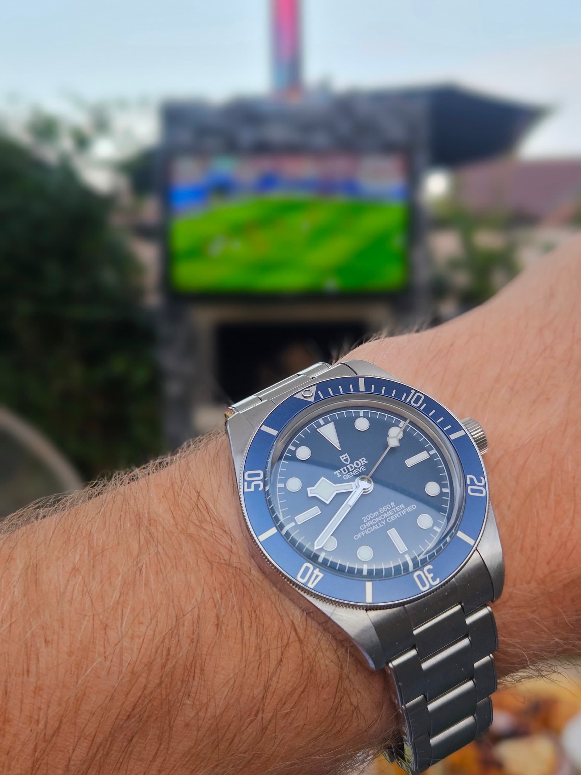 Tudor wristshot 2