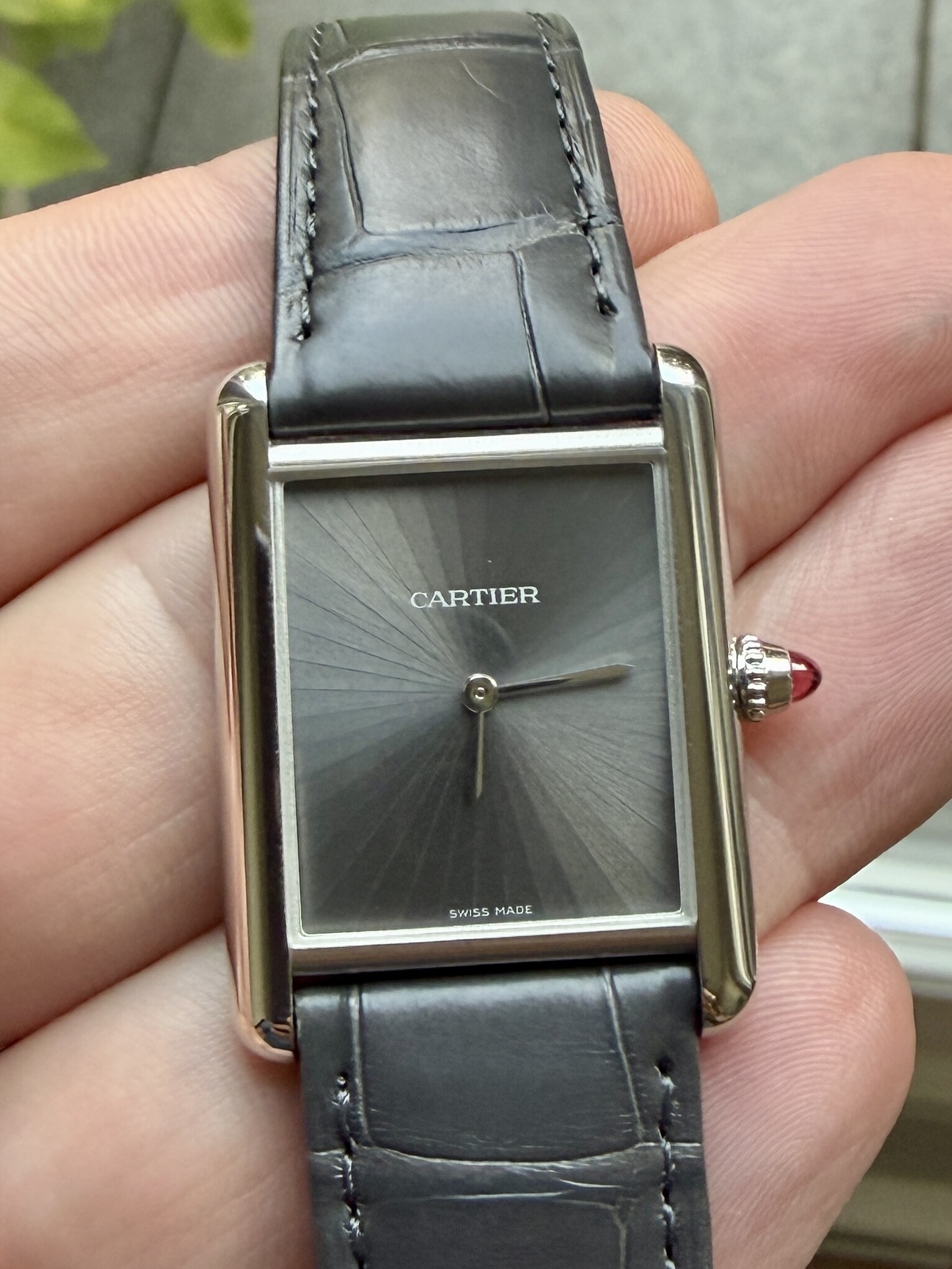 Cartier wristshot 24