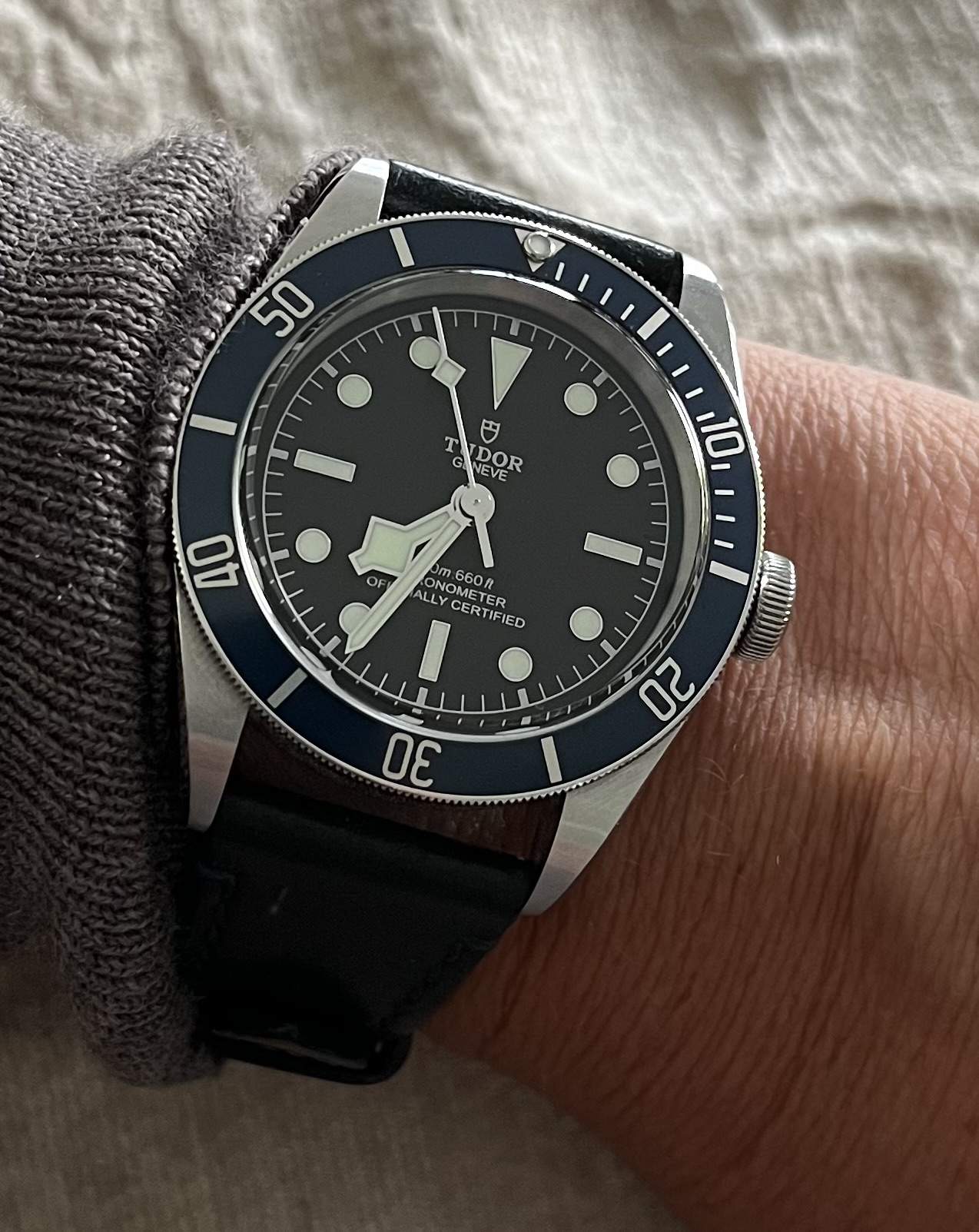 Tudor wristshot 17
