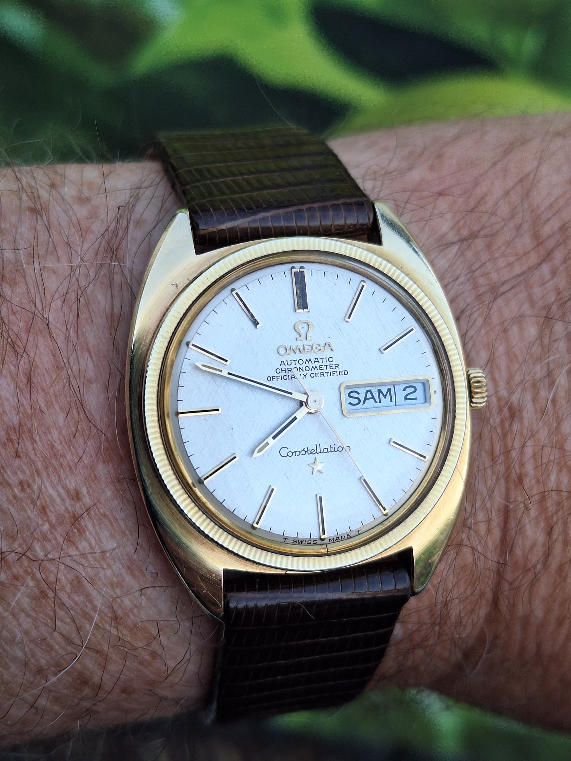 Omega wristshot 14