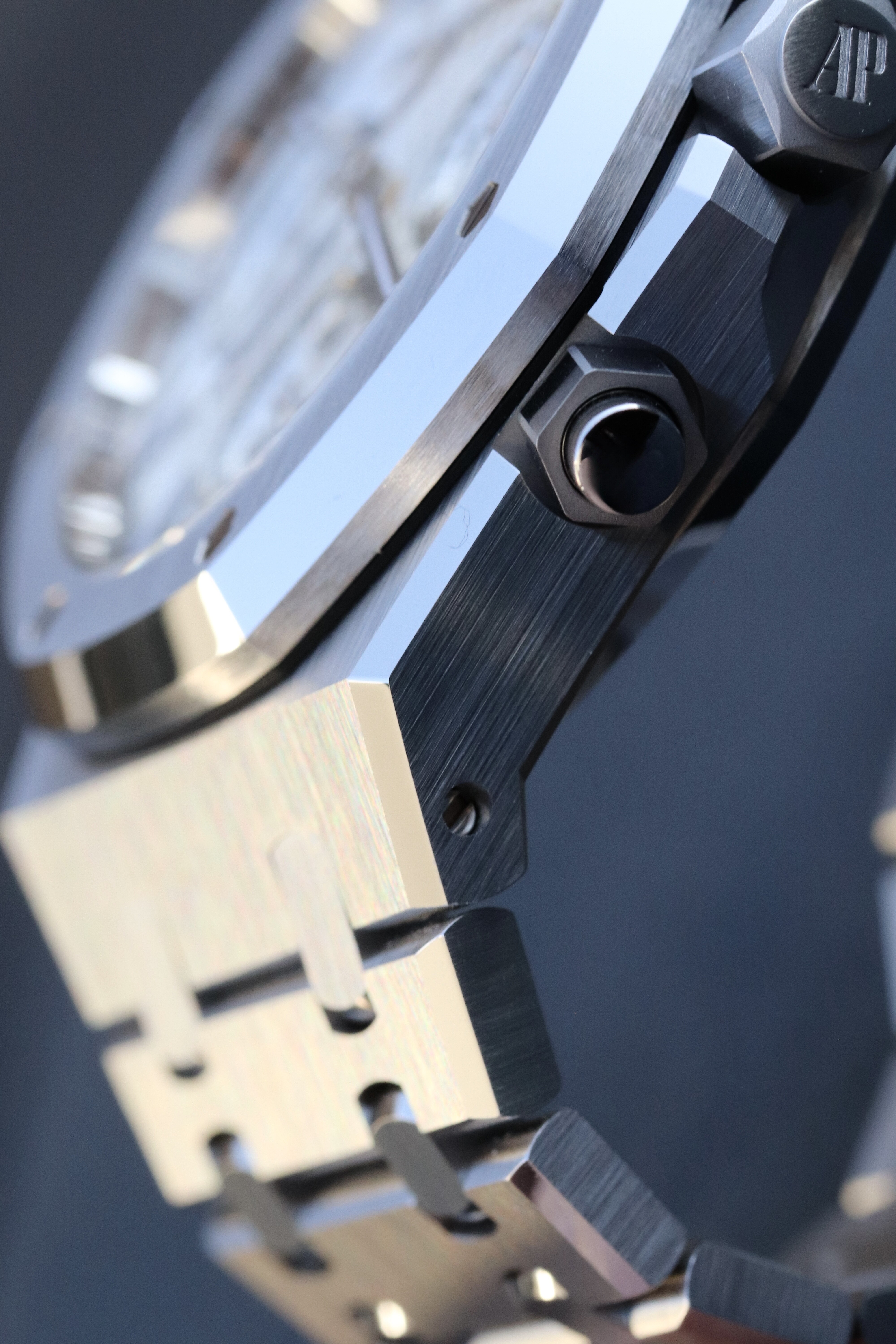 Audemars Piguet wristshot 14