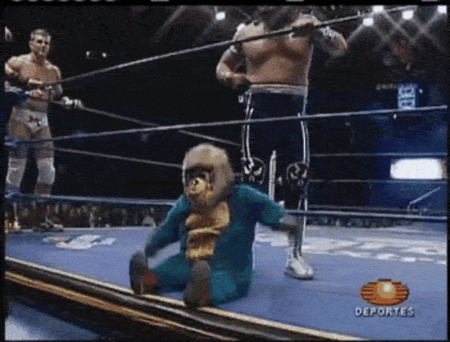 kemonito-wrestling-ezgif.com-optimize (1)