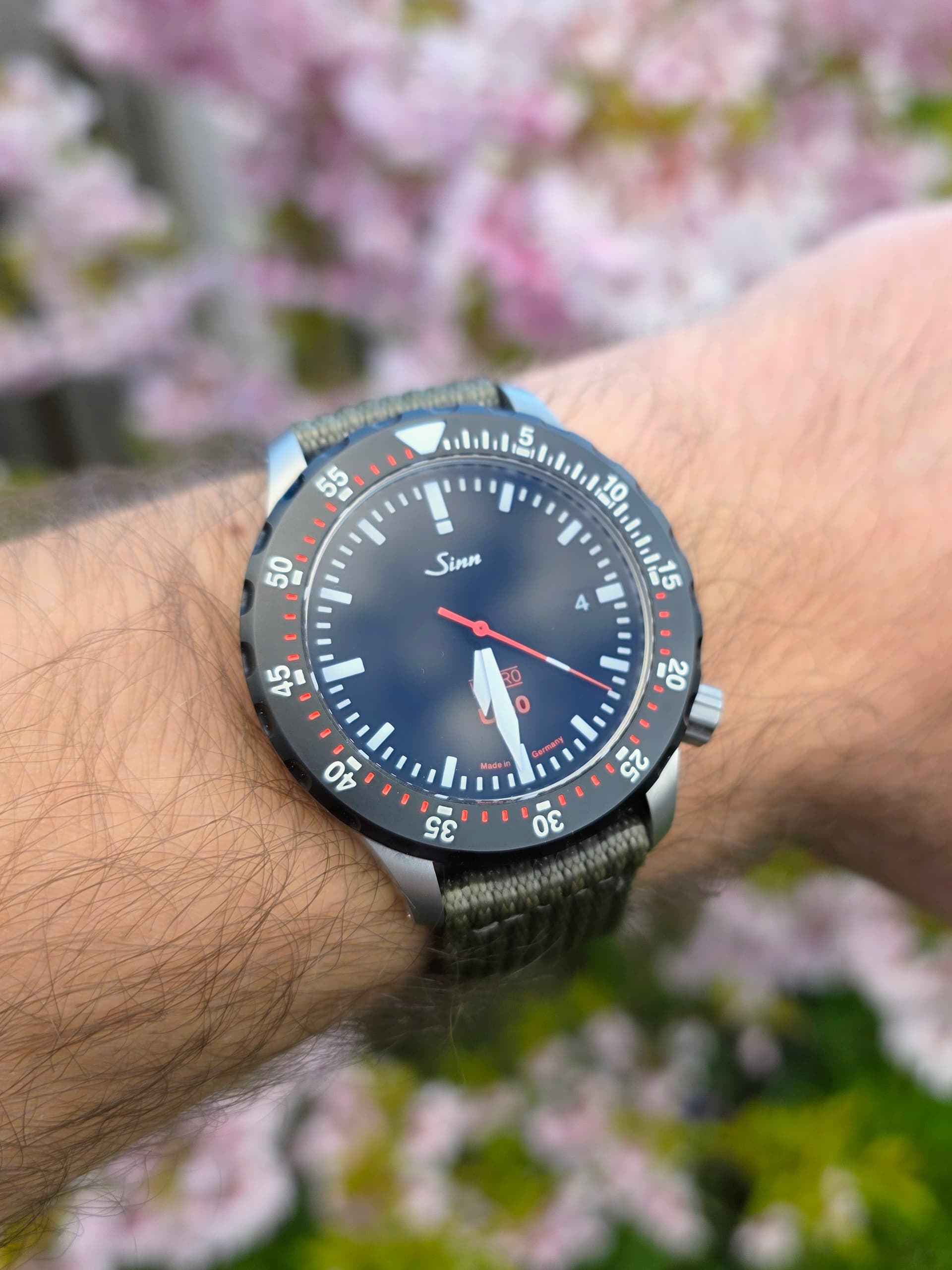 Sinn wristshot 24