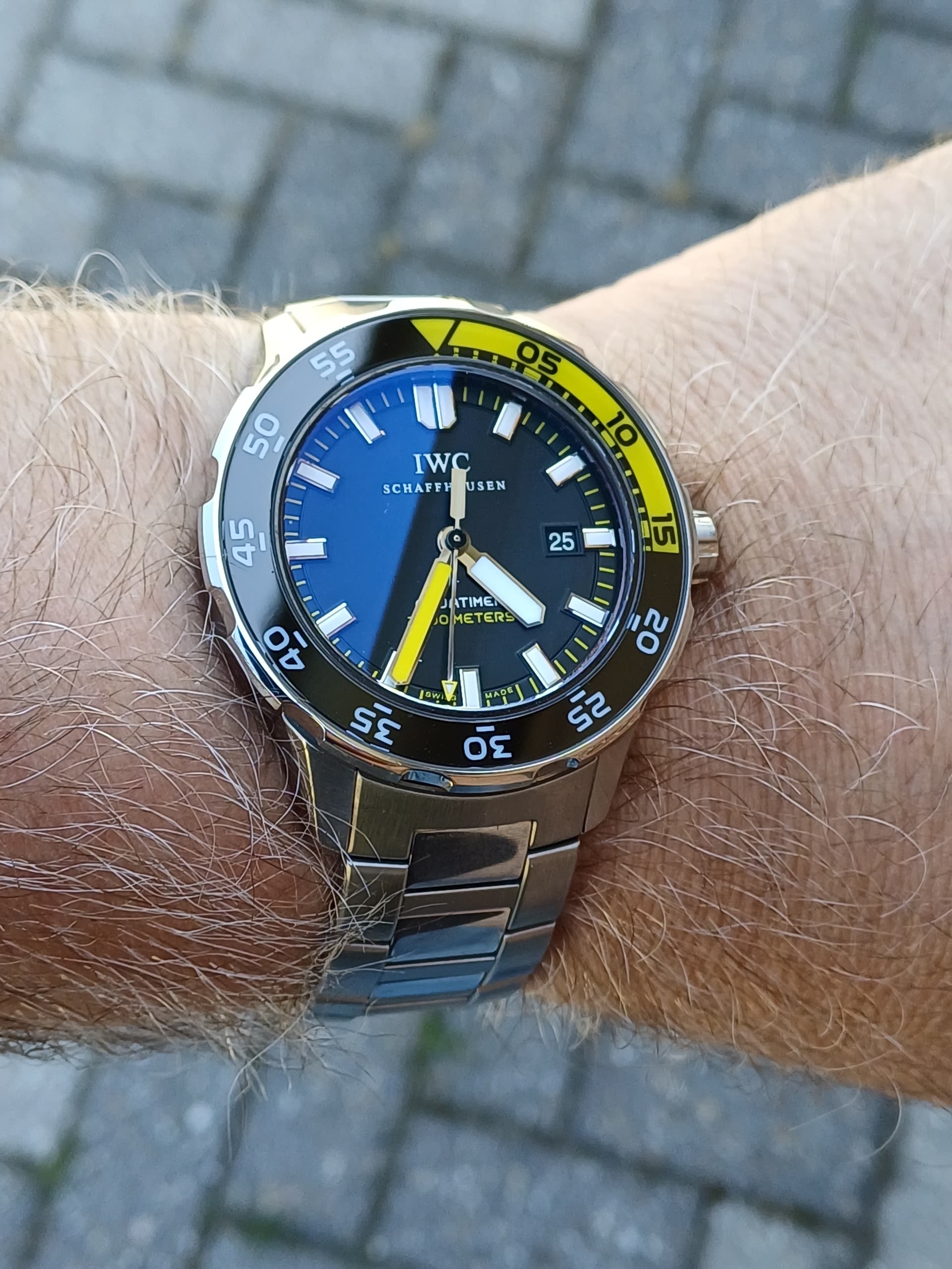 IWC wristshot 30
