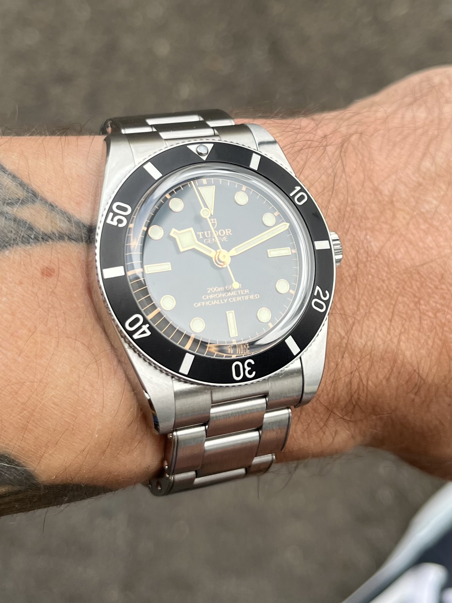 Tudor wristshot 12