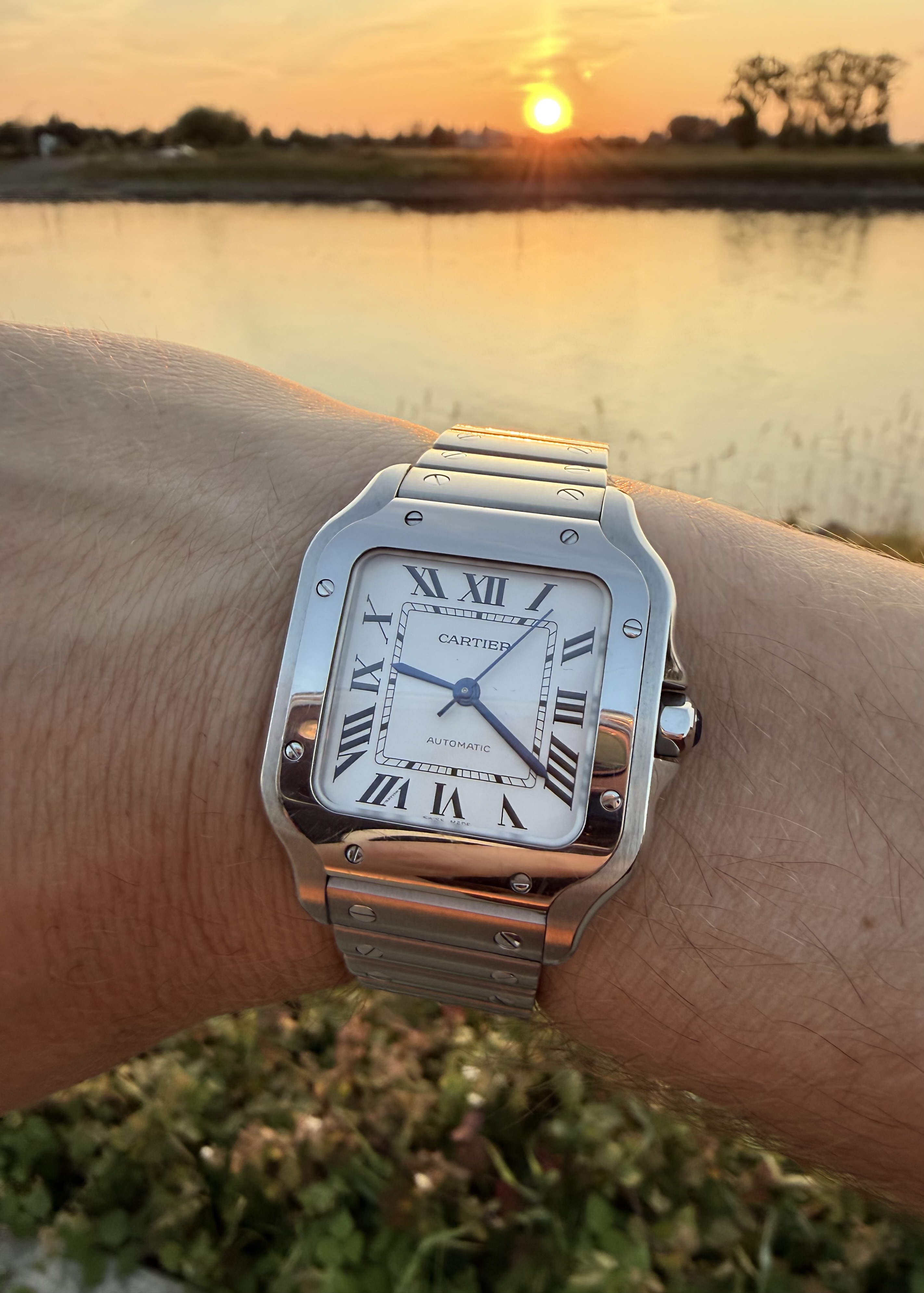 Cartier wristshot 11