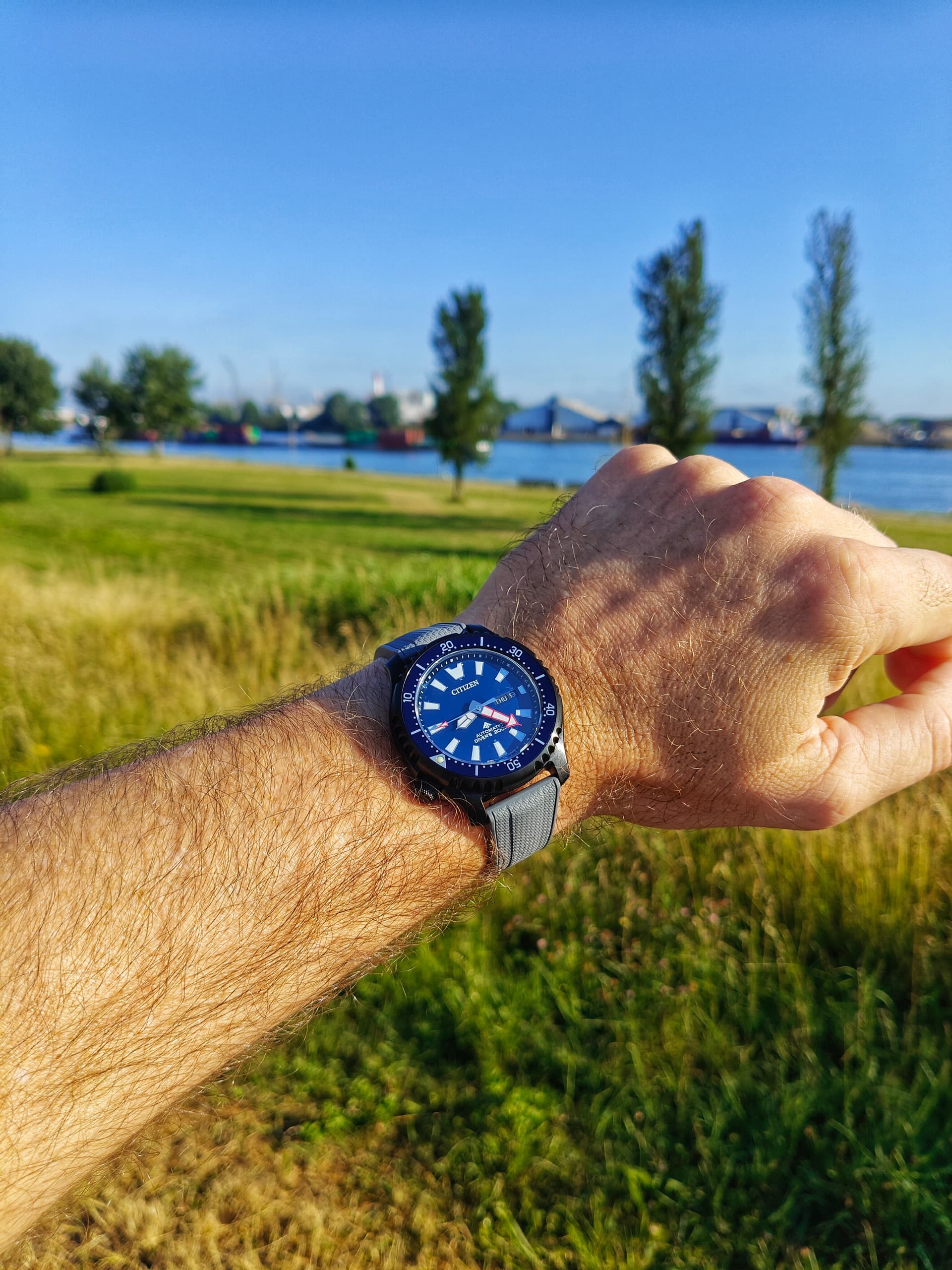 Citizen wristshot 13