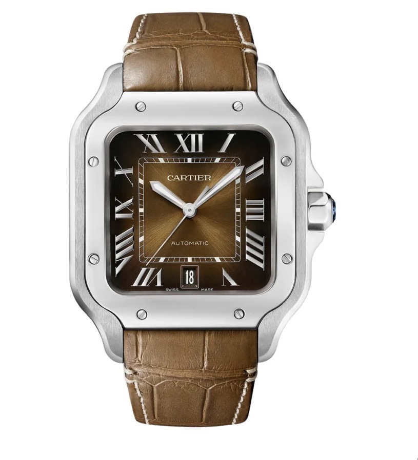 Cartier wristshot 6