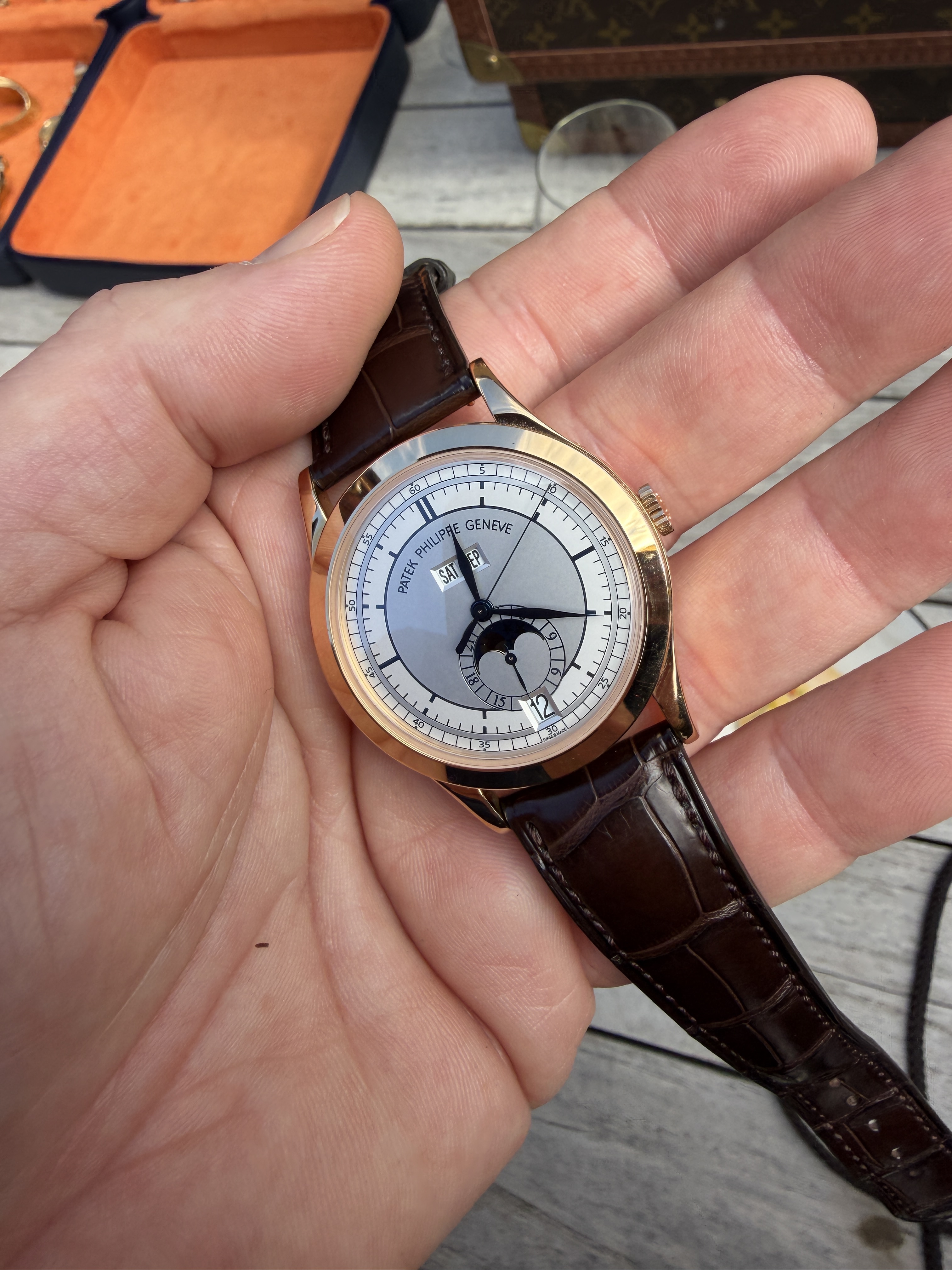 Patek Philippe wristshot 2