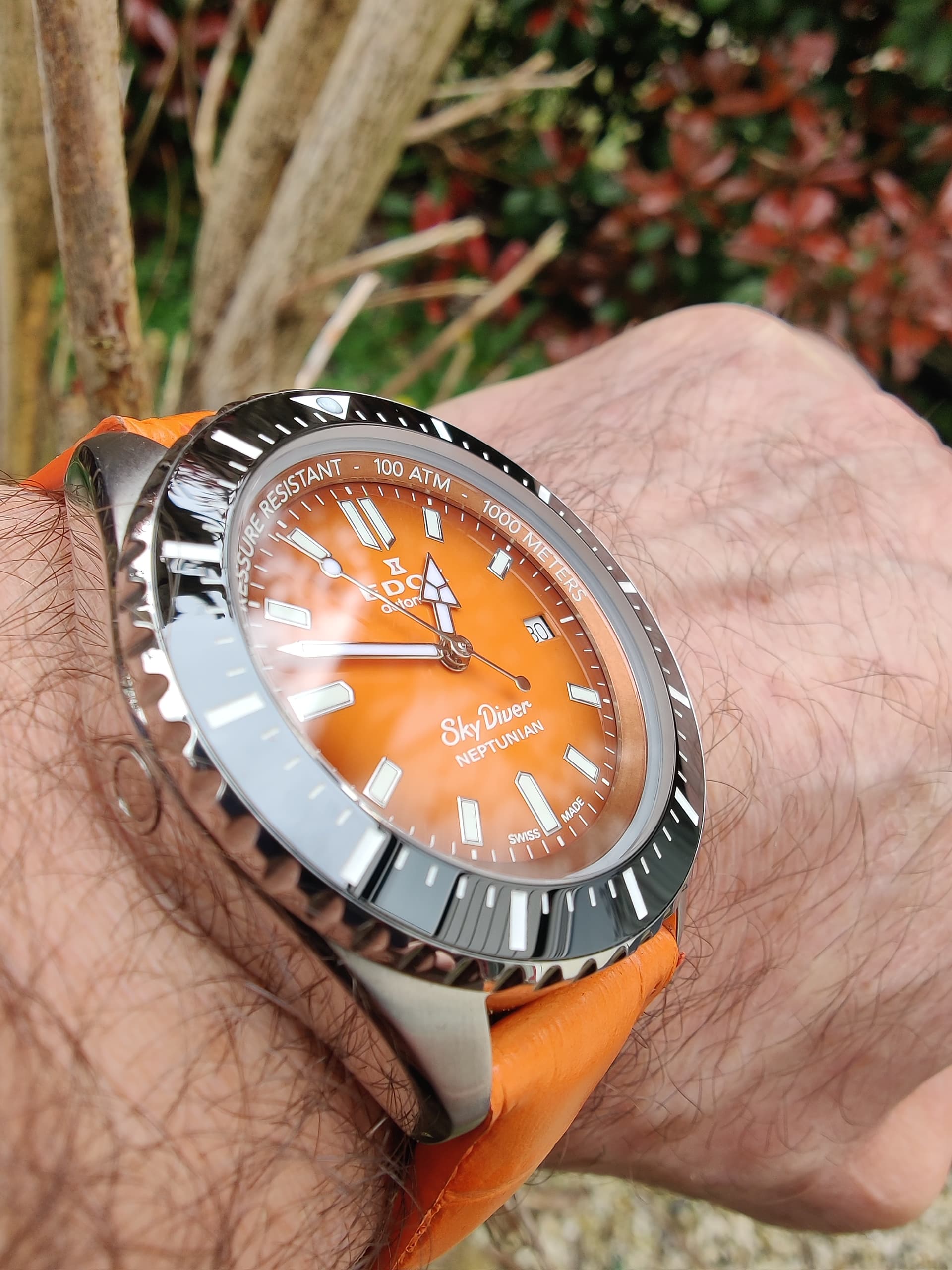Edox cover