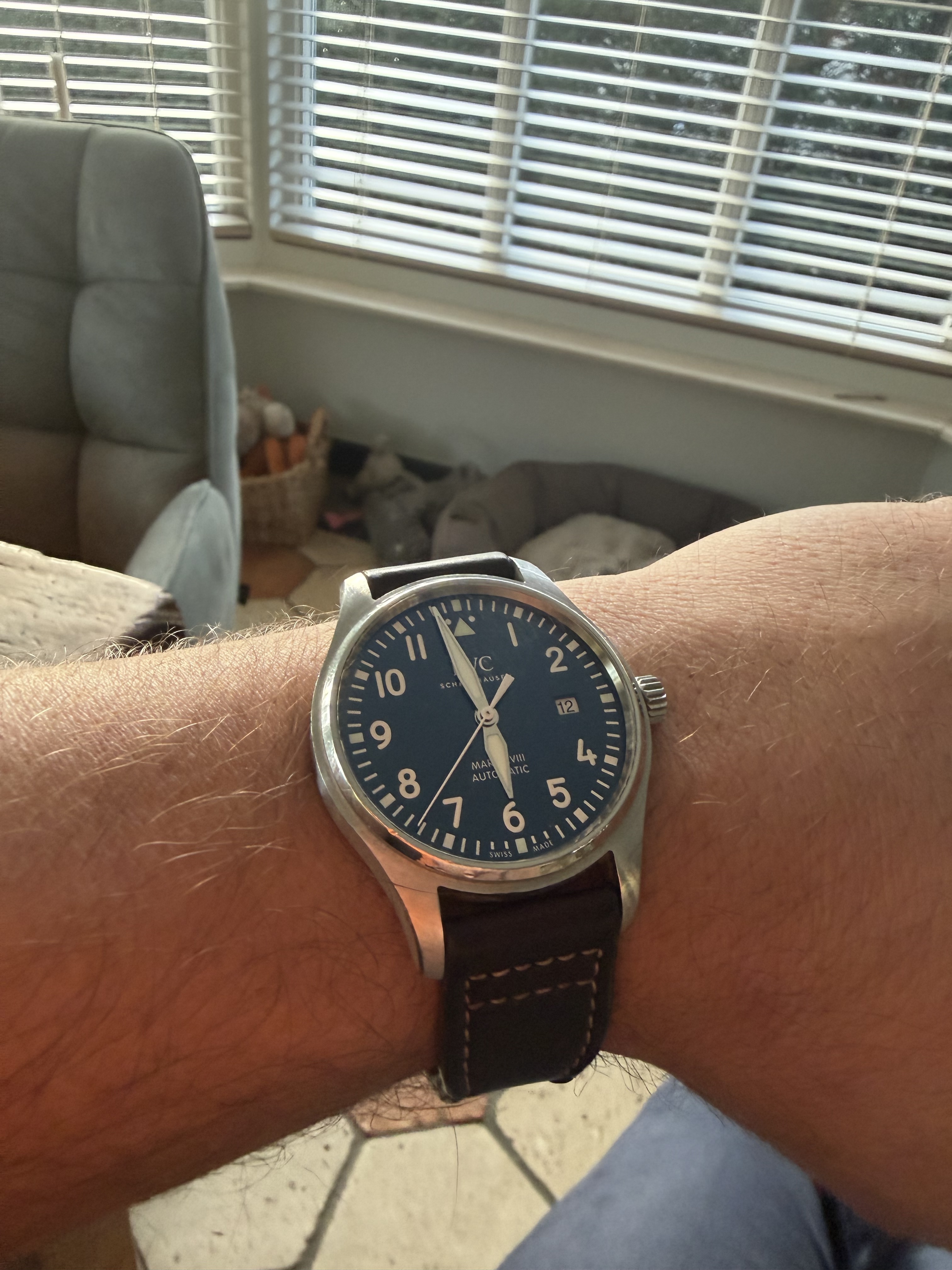 IWC wristshot 17
