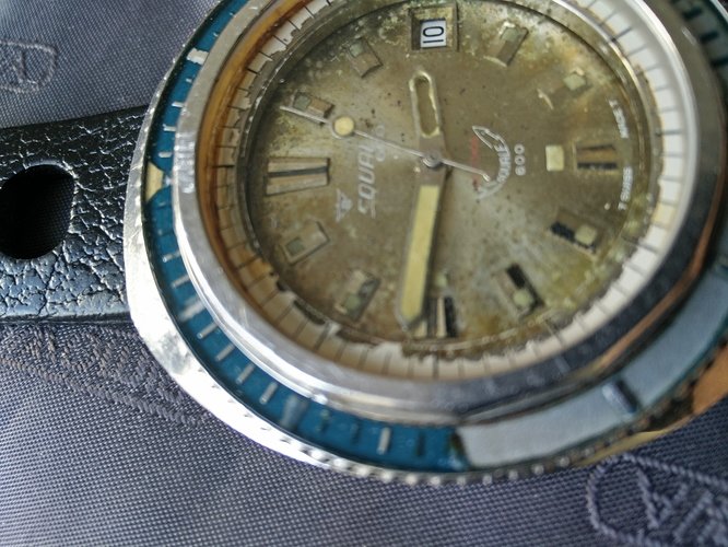 Squale is van @der_bene