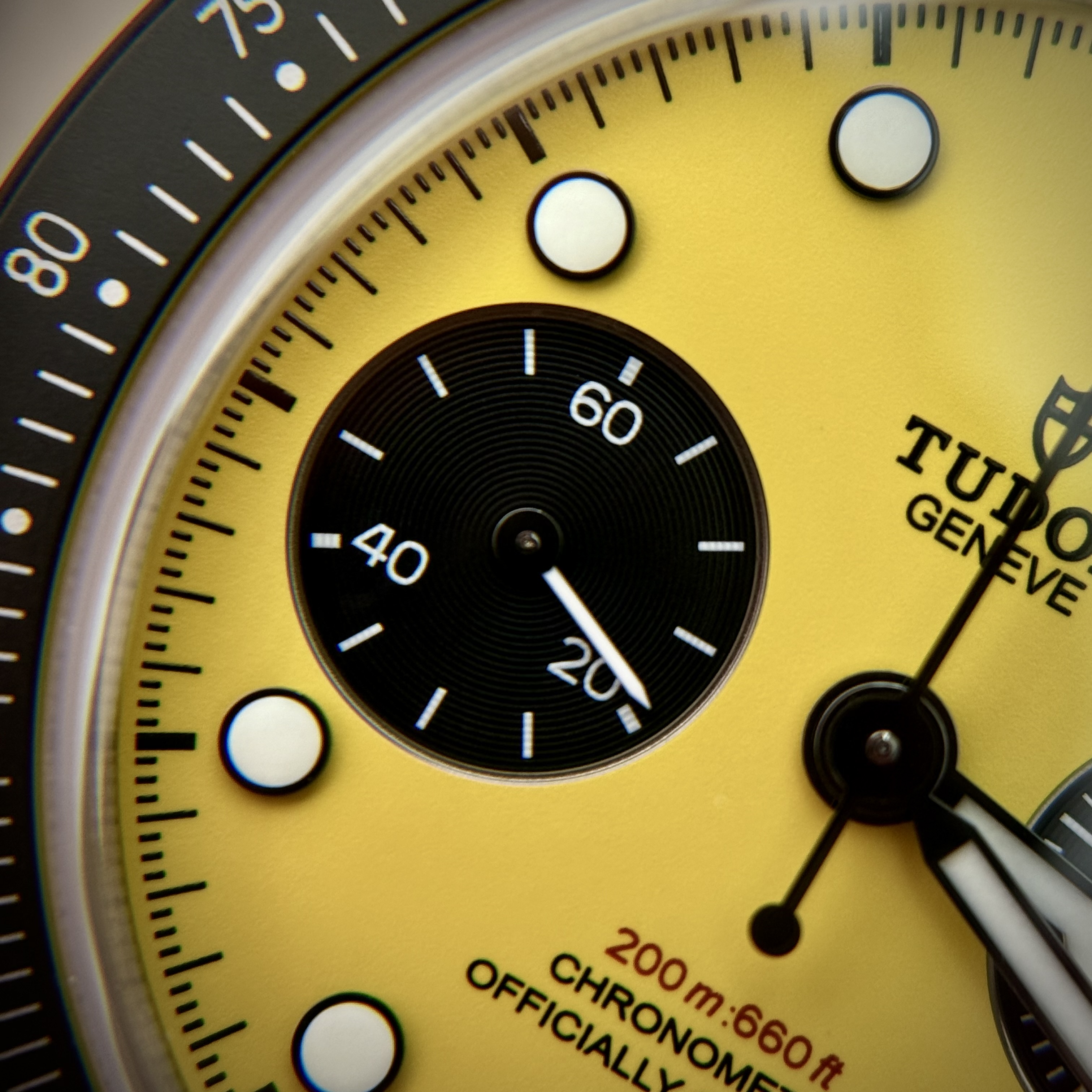 Tudor wristshot 13