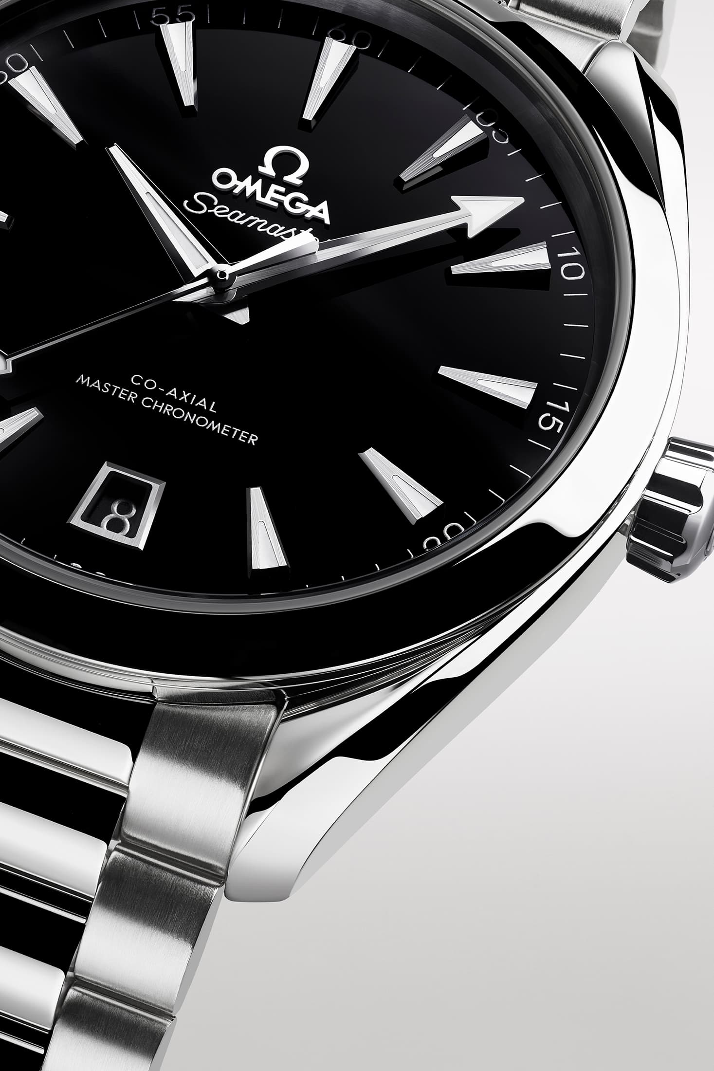 Jaeger-LeCoultre wristshot 29