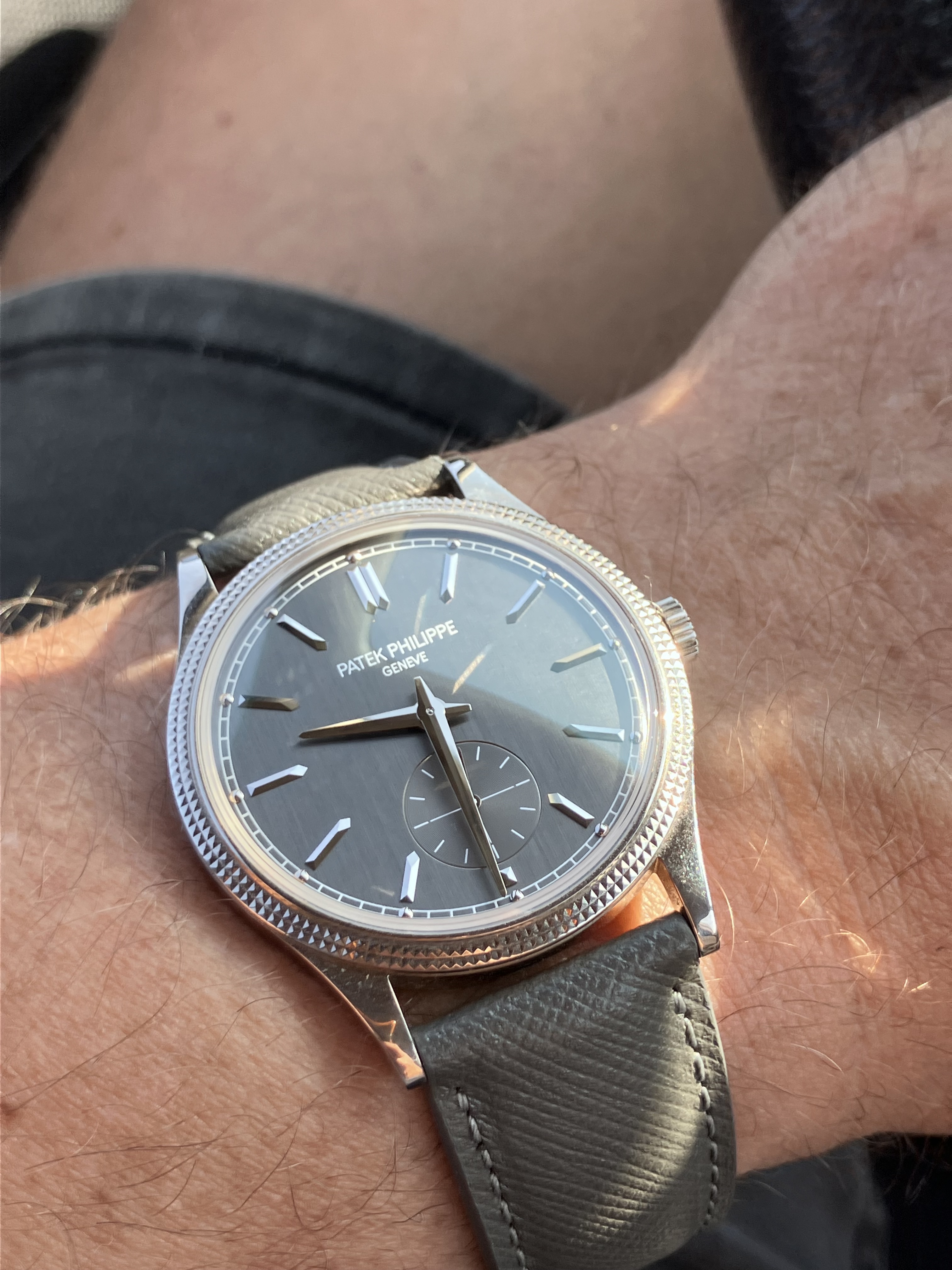 Patek Philippe wristshot 23
