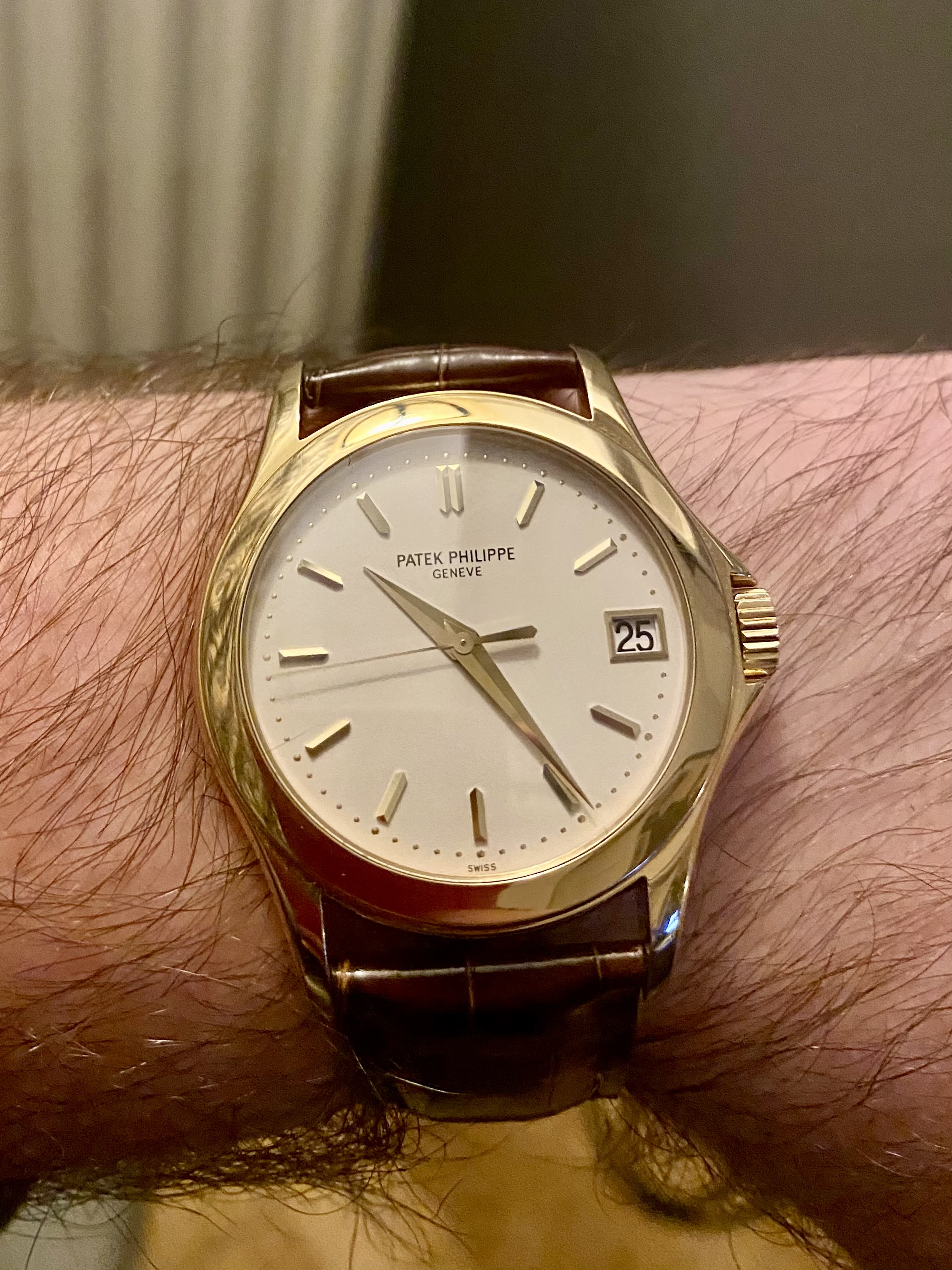 Patek Philippe wristshot 32