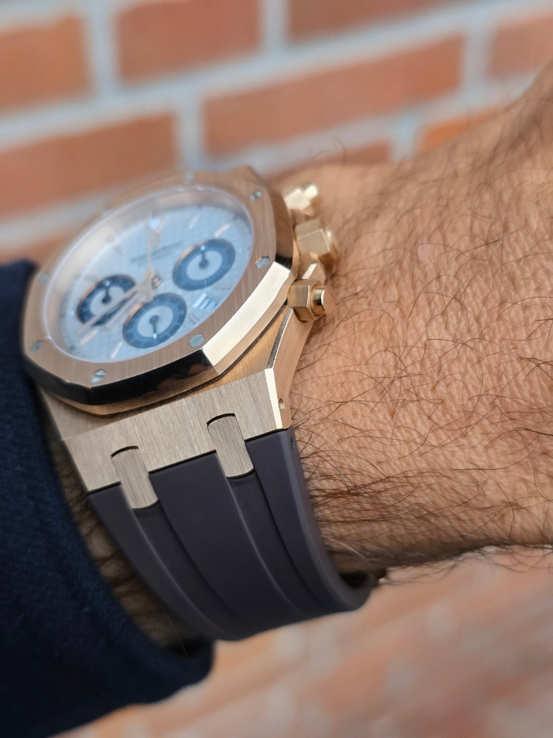 Audemars Piguet wristshot 26