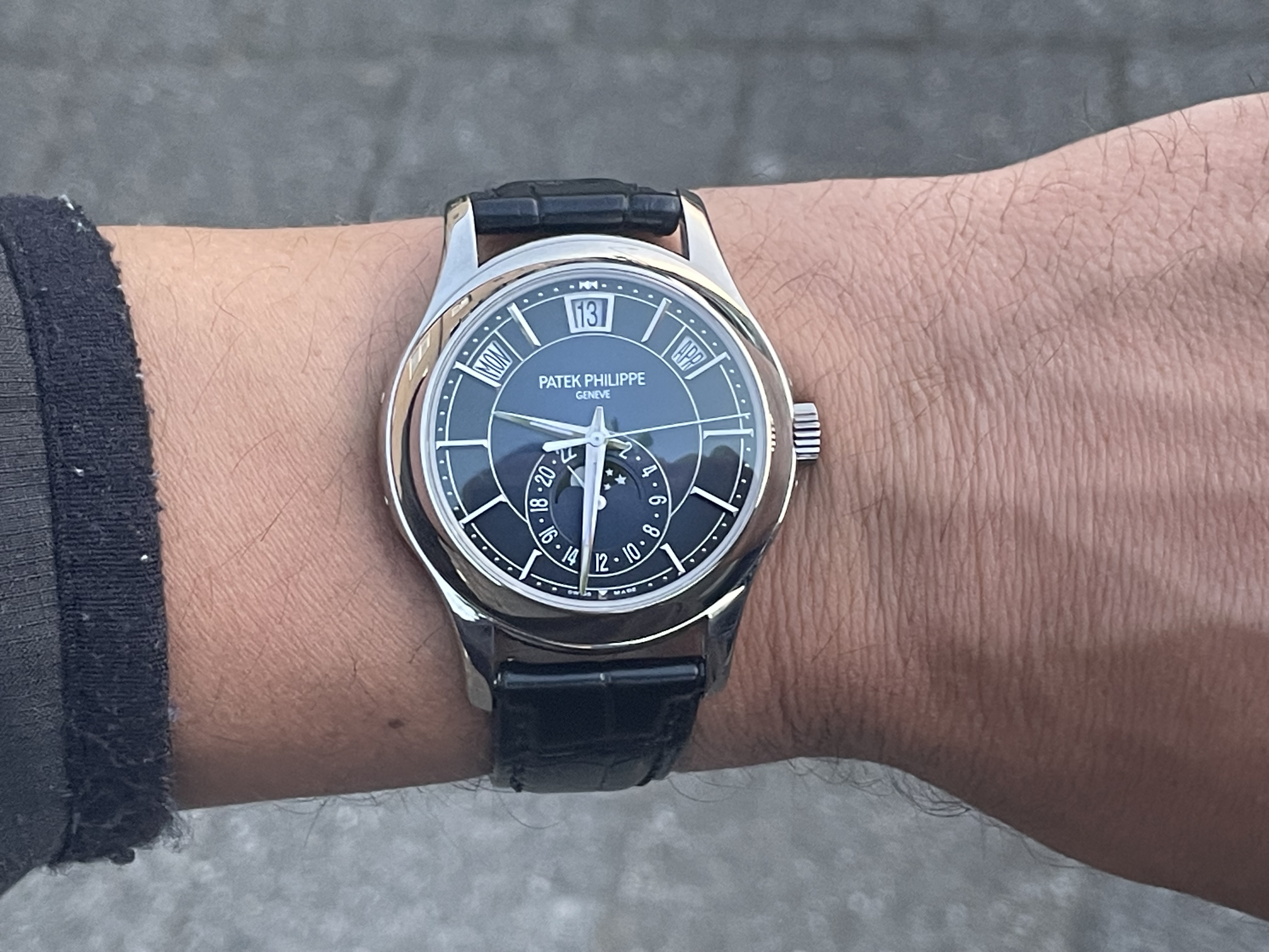 Patek Philippe wristshot 18