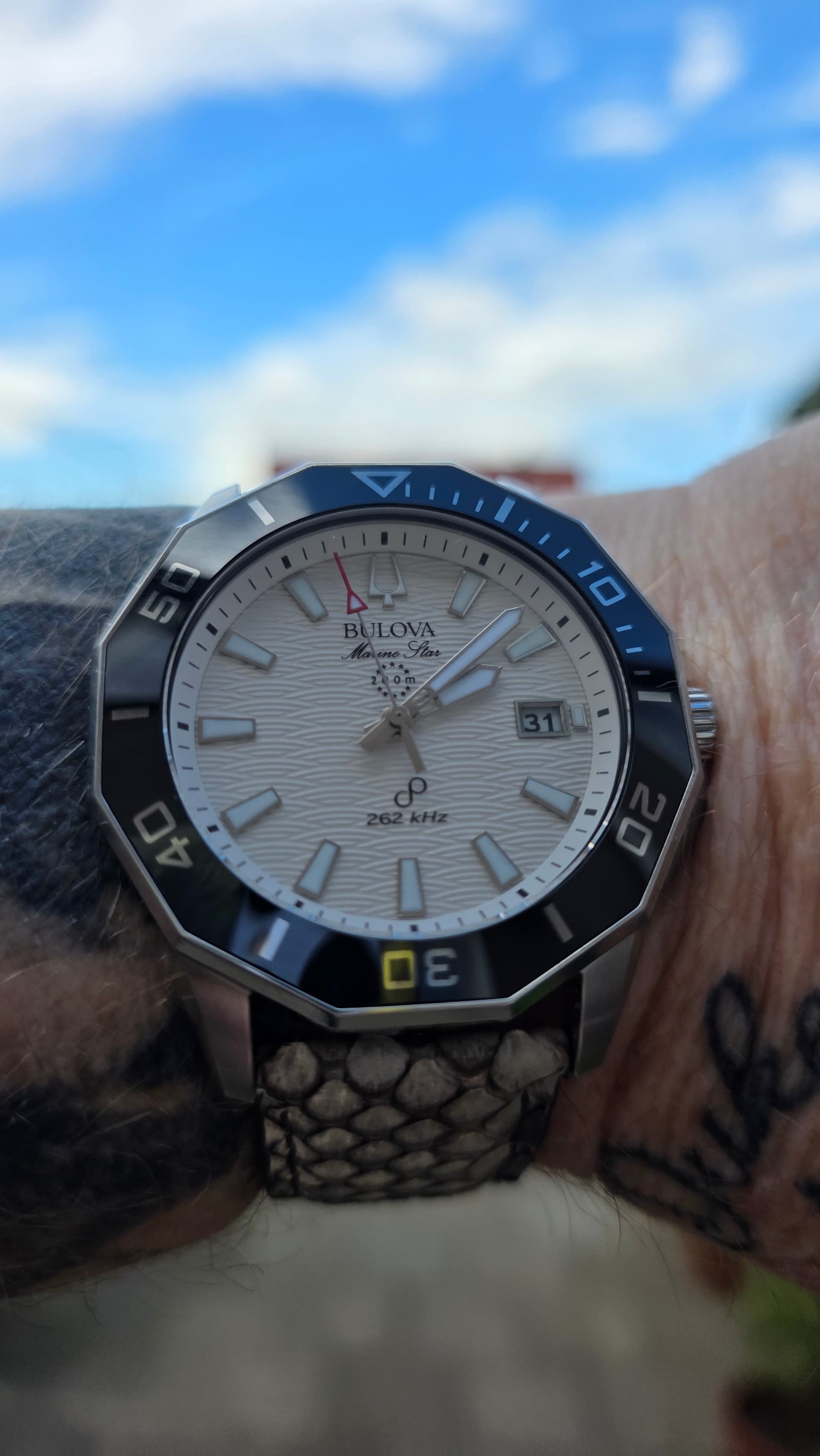 Bulova wristshot 2