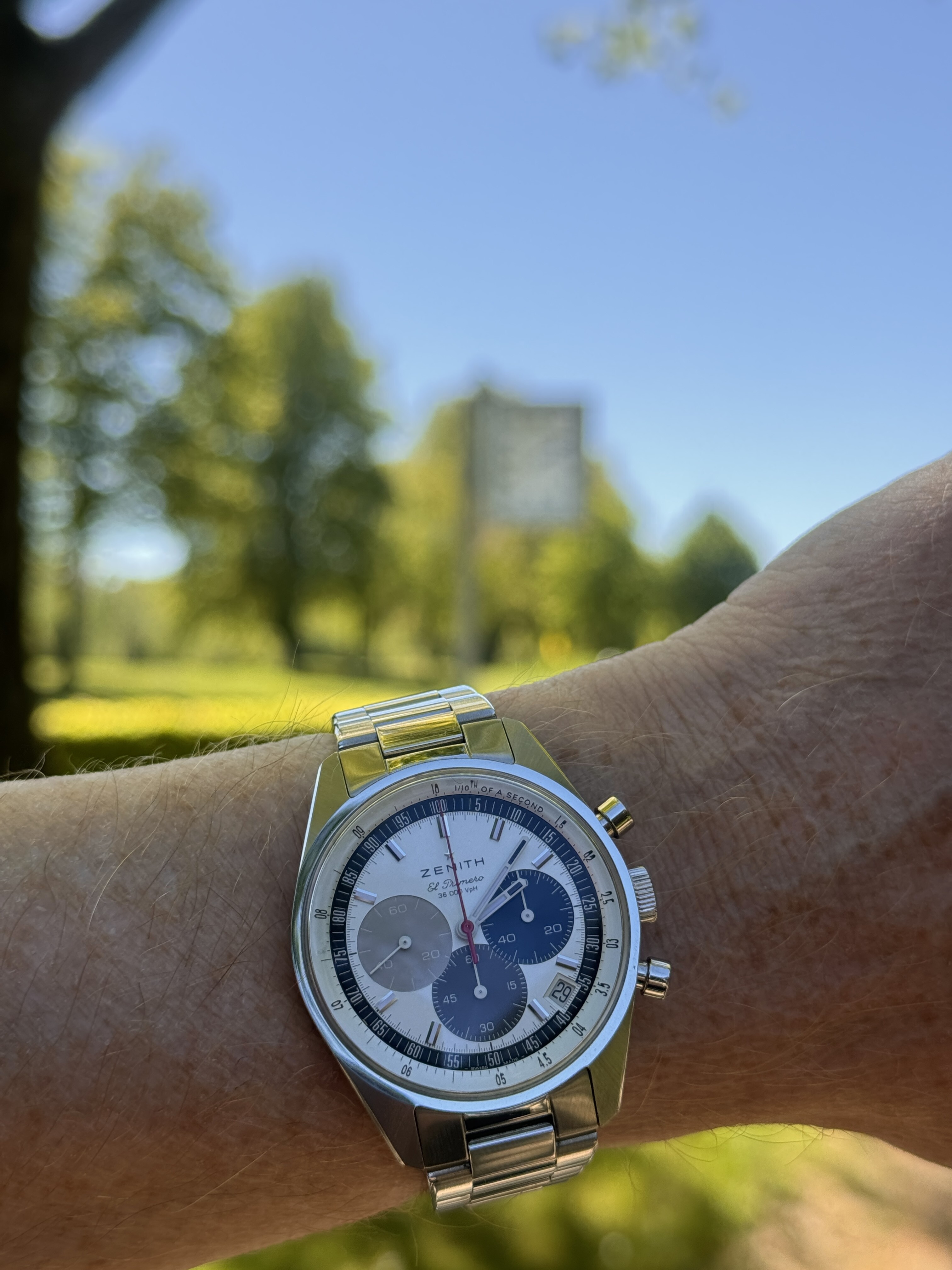 Jaeger-LeCoultre wristshot 12
