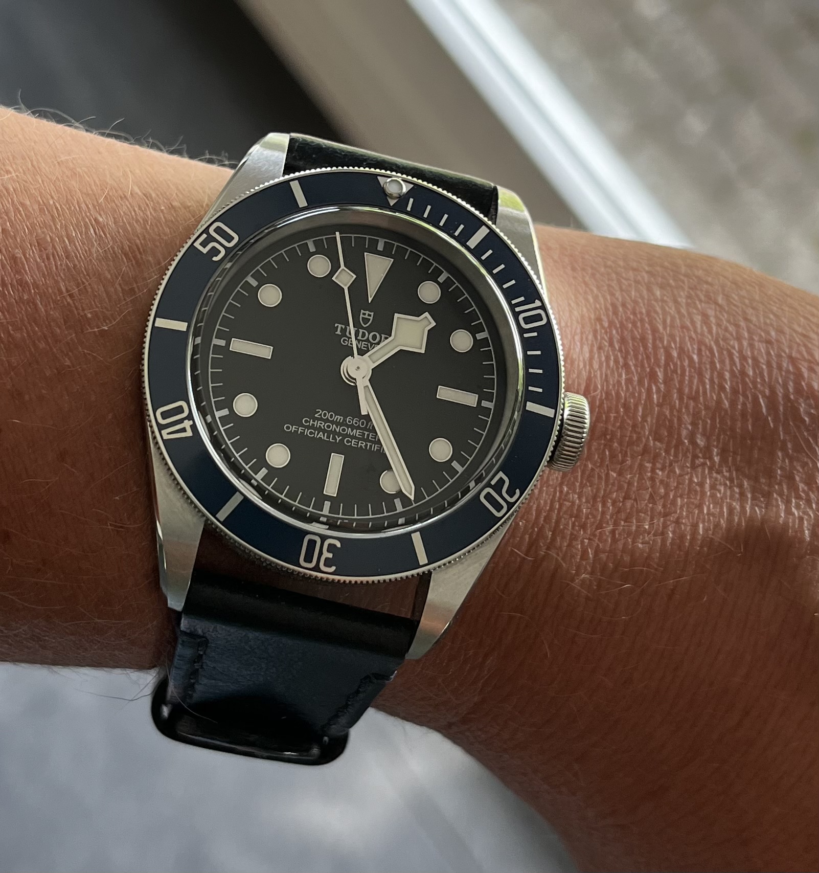 Tudor wristshot 8