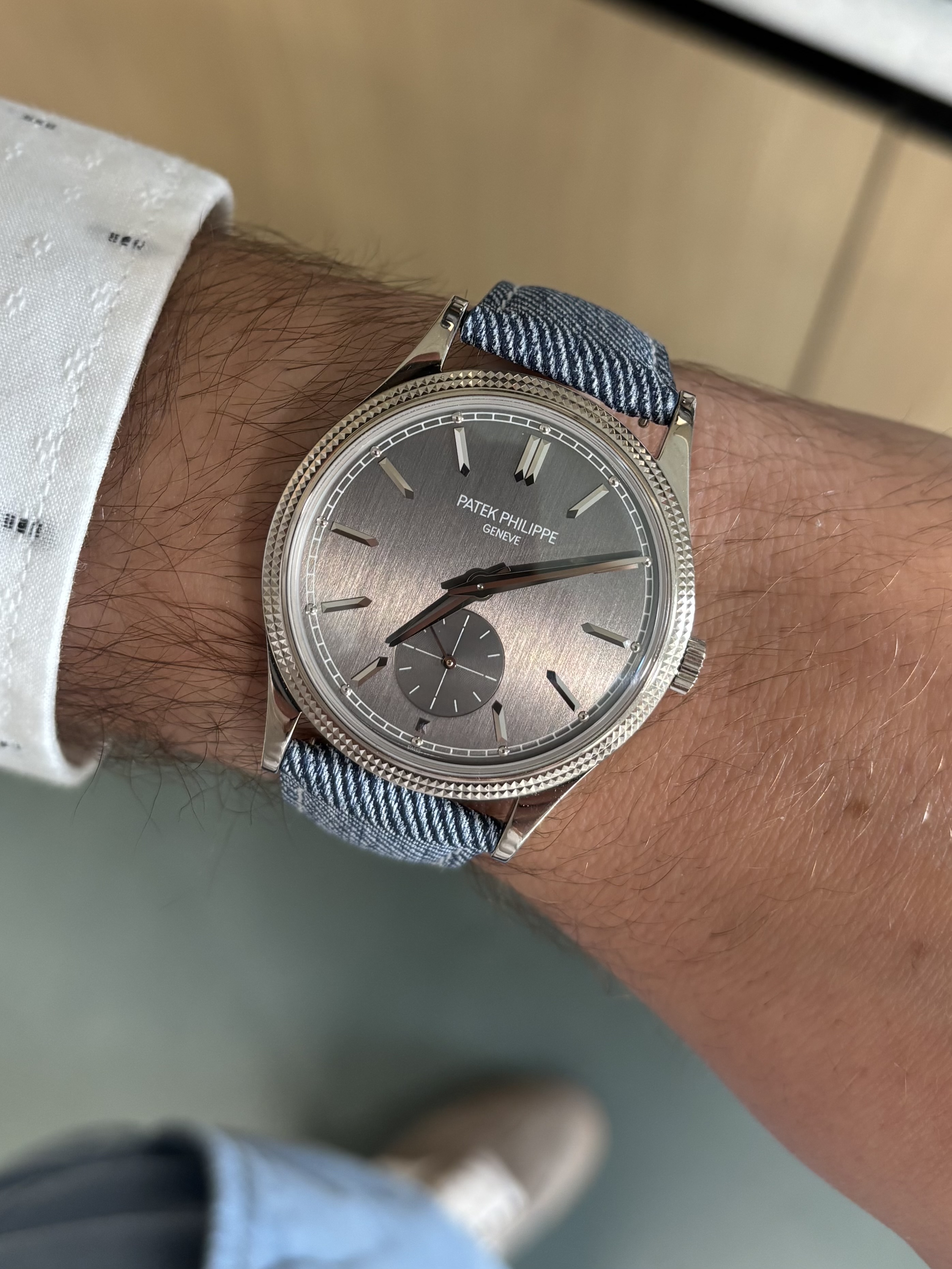 Patek Philippe wristshot 14